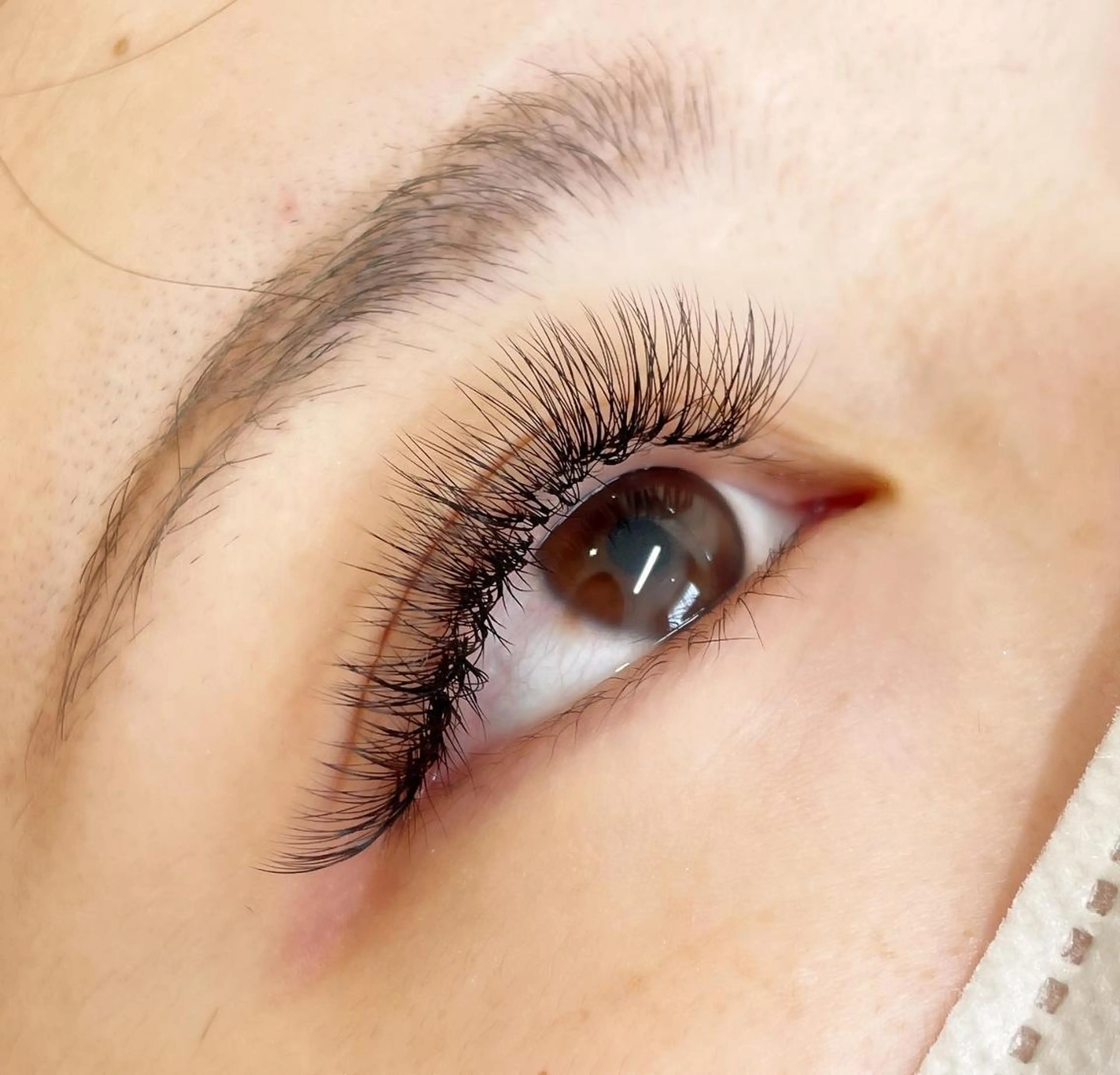 ☁️フワフワ☁️ボリュームラッシュ✨100束【3D、4Dでお付けします🥰】の写真