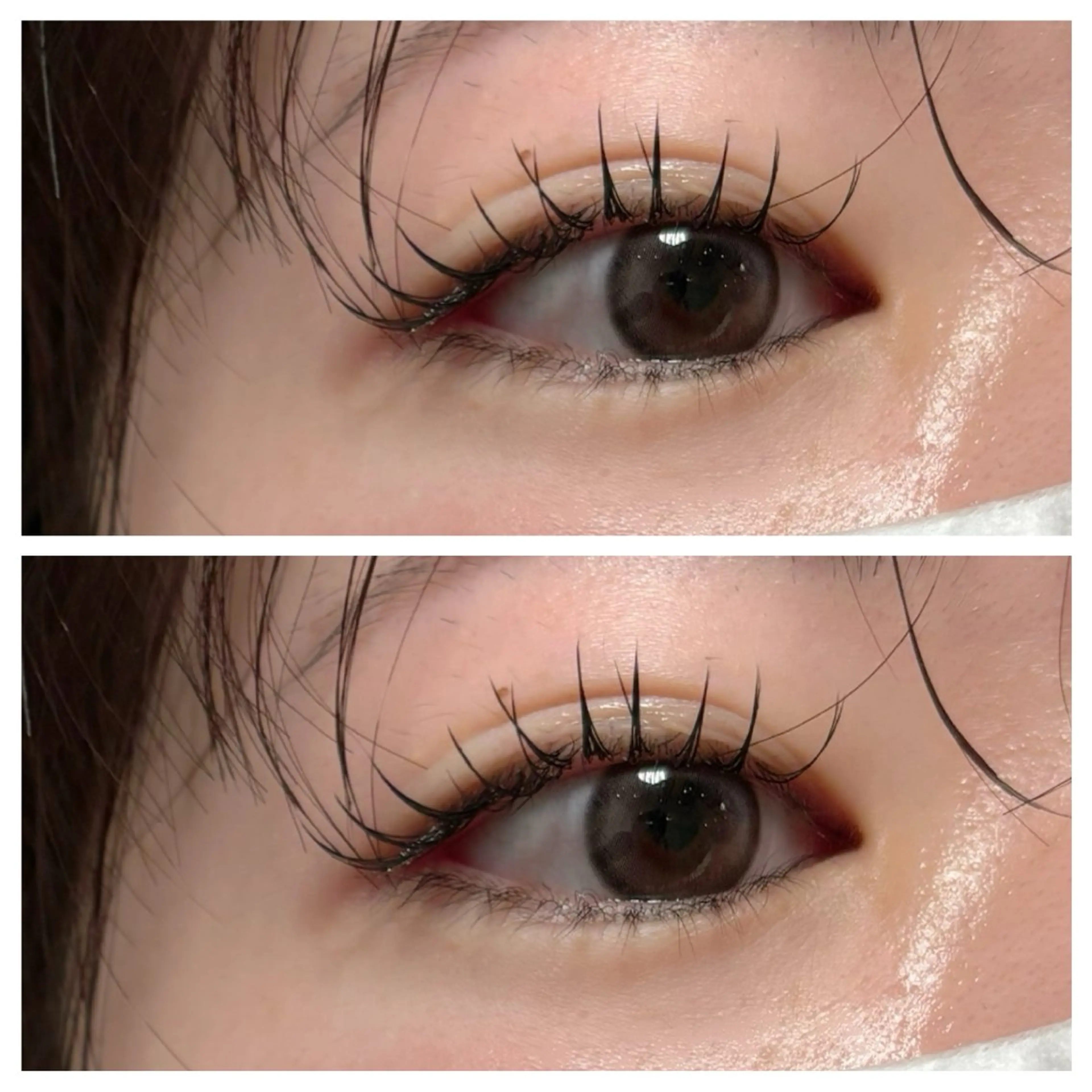 上下LEDフラットラッシュ🌏🌟 上100本/下20本《オフ込み》【初回​〜​3回目まで】の写真