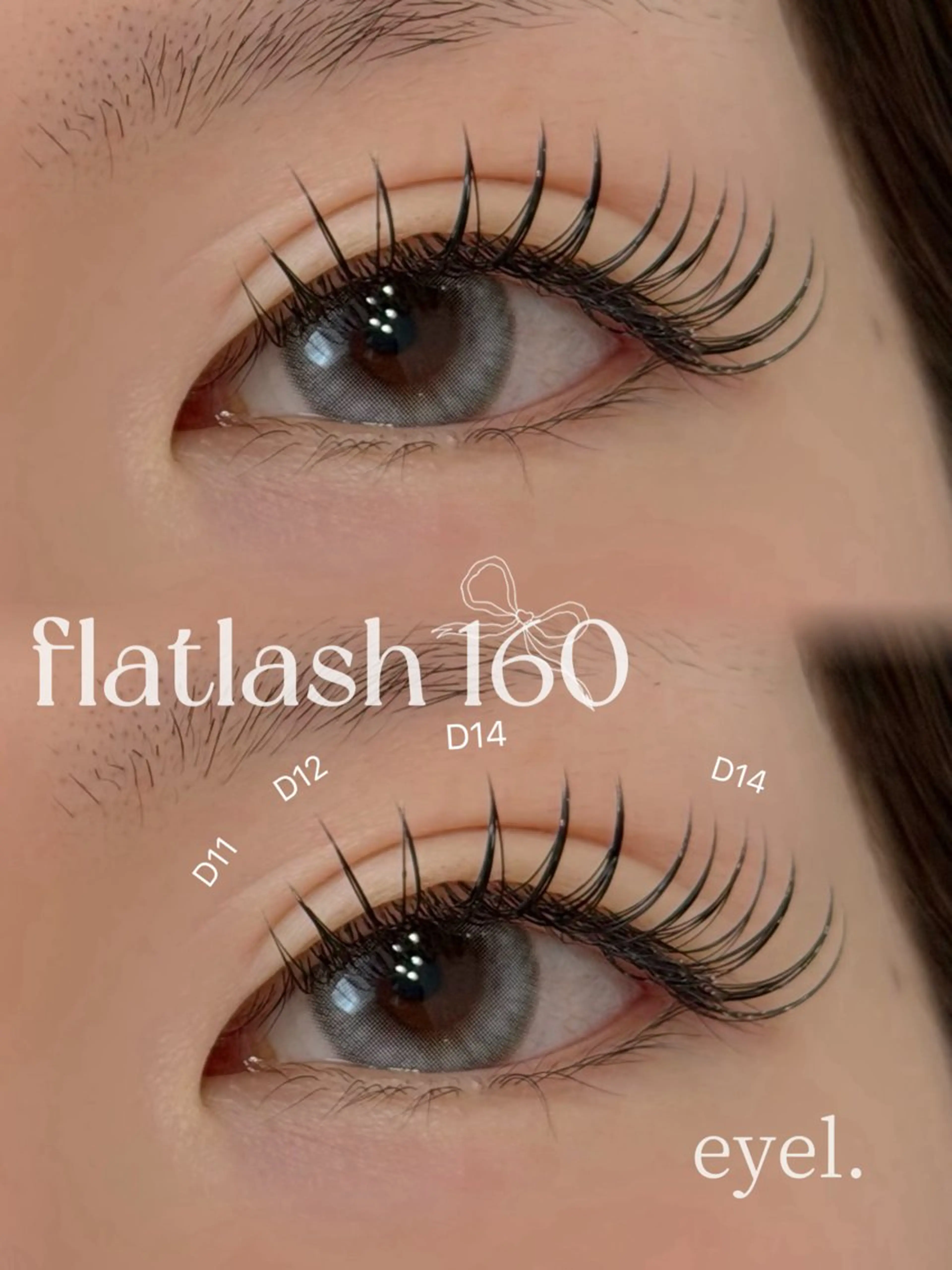 フラットラッシュ160本の写真