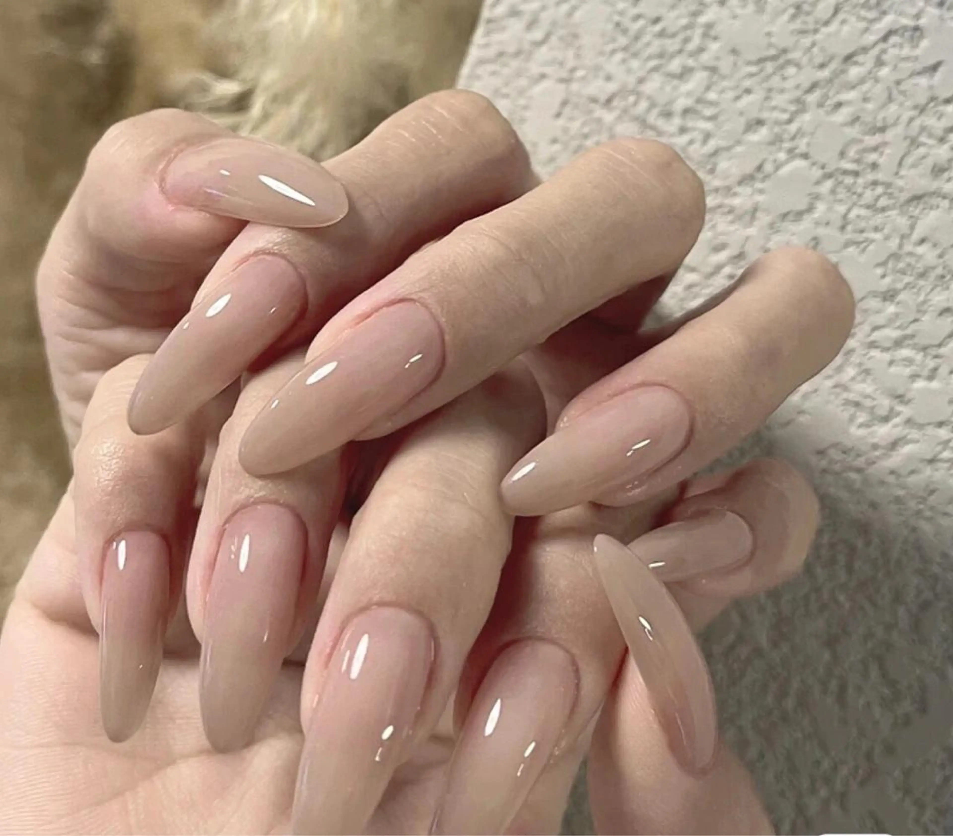 スカルプオフのみ/チップオフのみ/他店　¥3800の写真