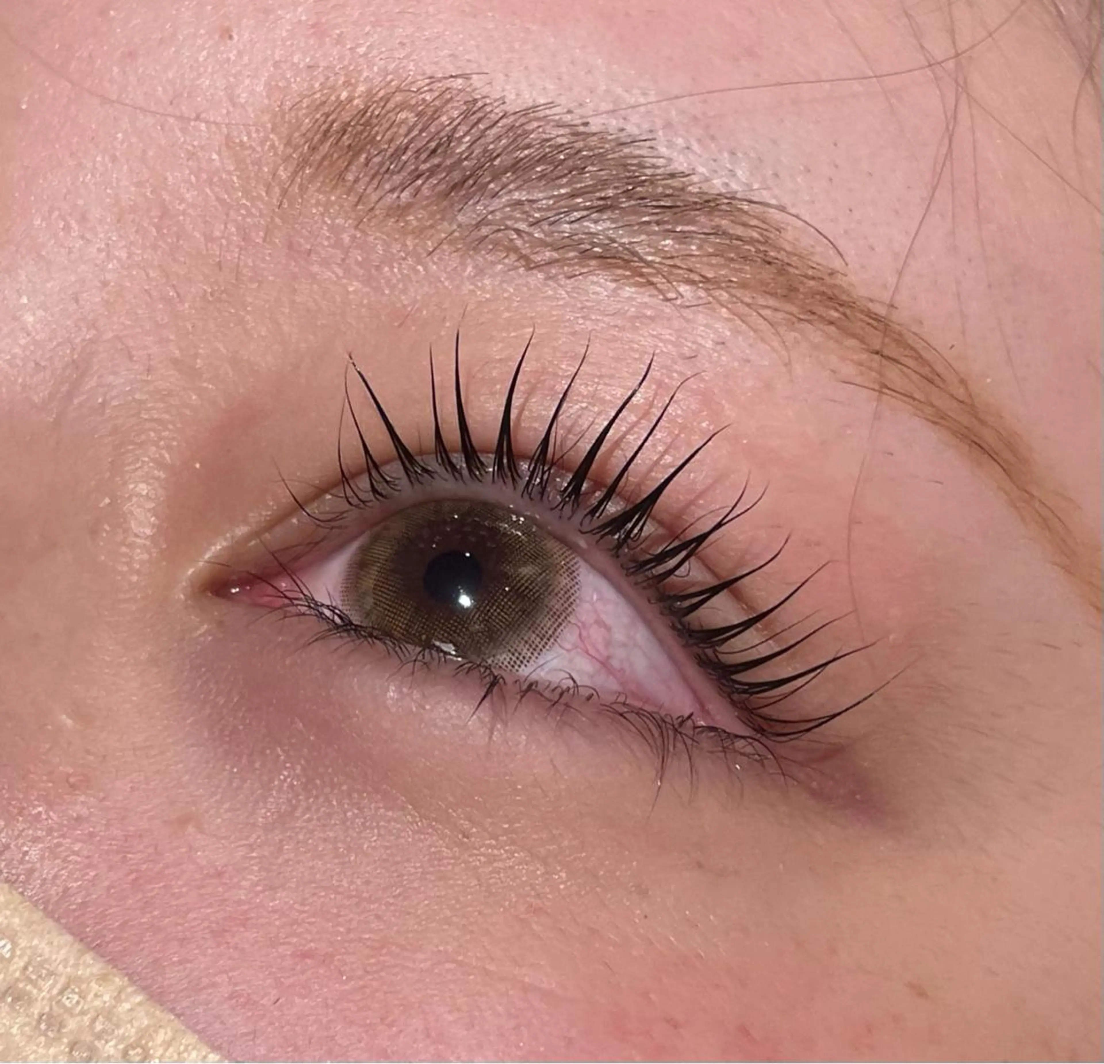 4月限定❄パリジェンヌラッシュリフト🍬💞束感コーティング仕上げ🧴根本から立ち上げるカールです❄️の写真