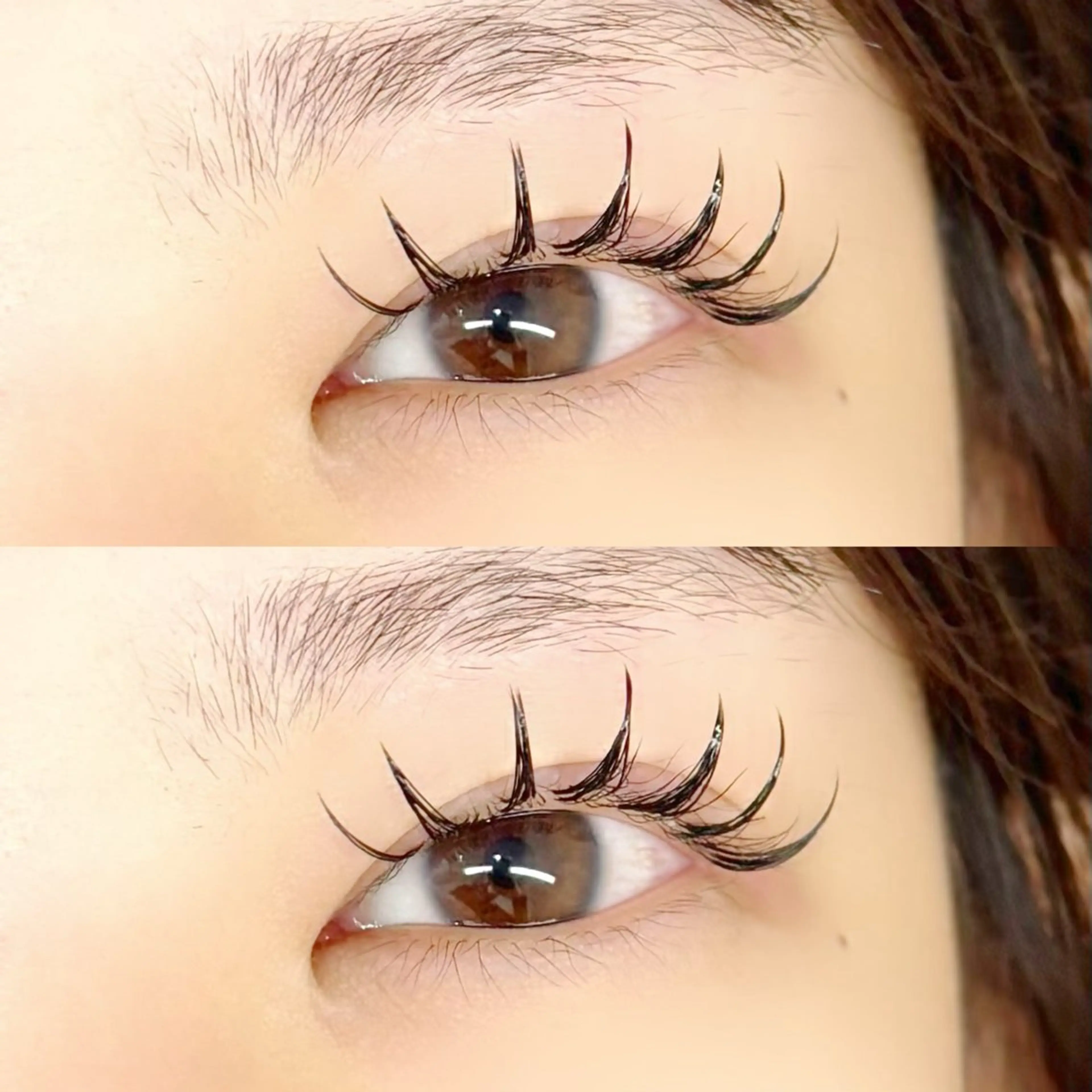 ãããšã¯ã»ããã ãããšã¯ TOP æåŠ»ã®ãããšã¯ã»ããããã¶ã€ã³