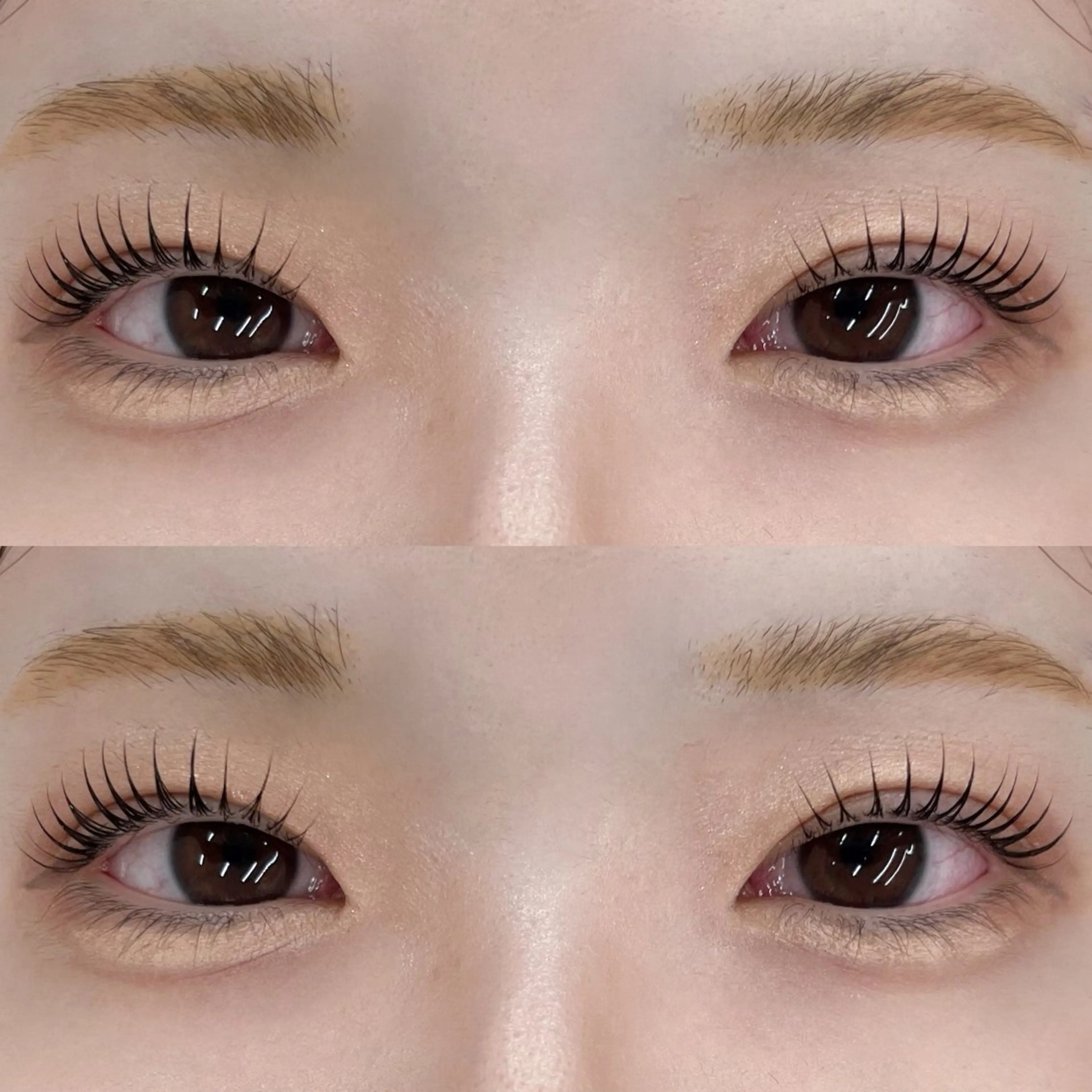 ✨minimo限定価格✨上下パリジェンヌラッシュリフトor上下デザインまつ毛パーマの写真