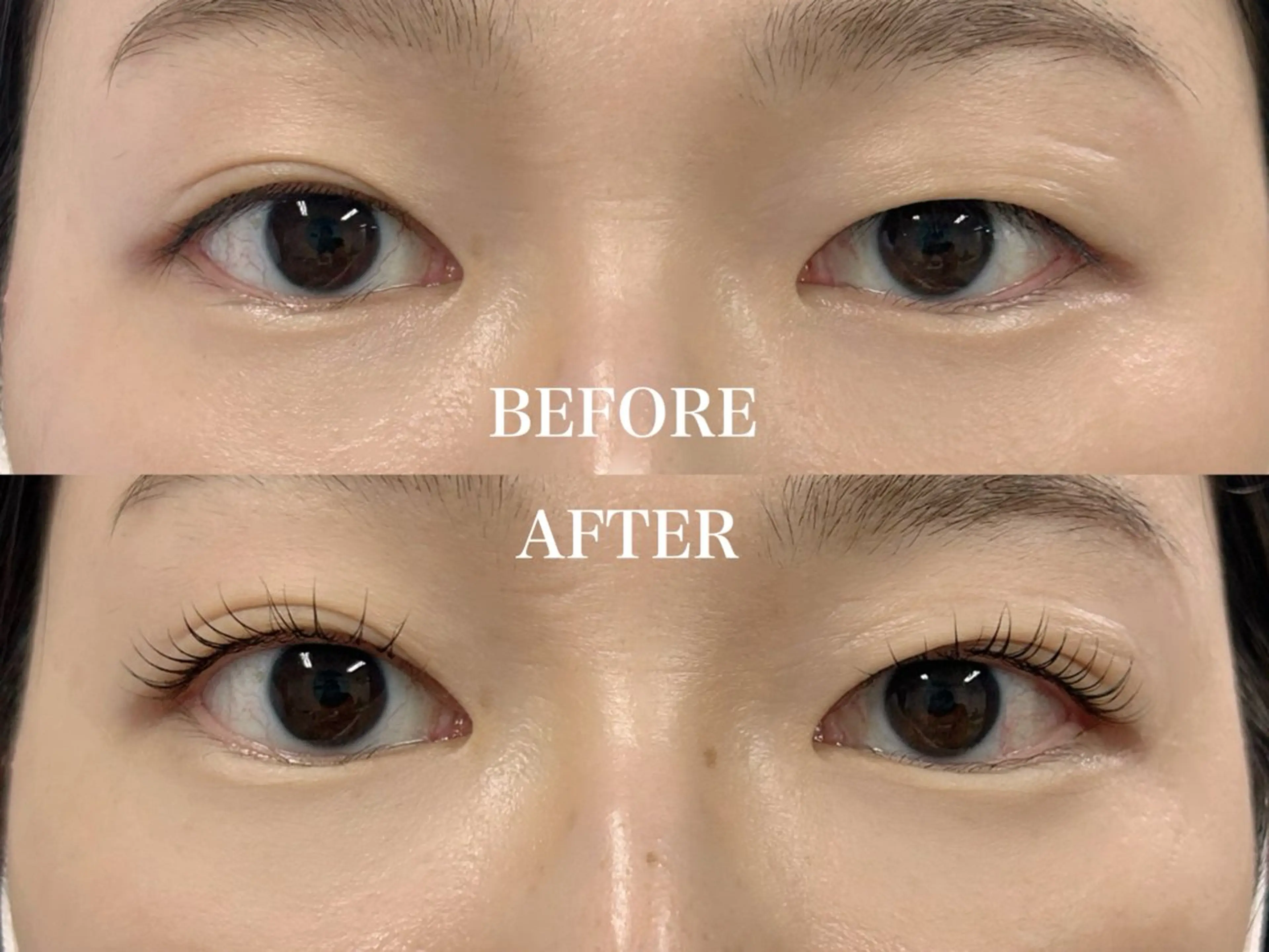 マツエク・マツパ Sein所属・Sein 千代田線 根津駅1分のマツエク・マツパデザイン