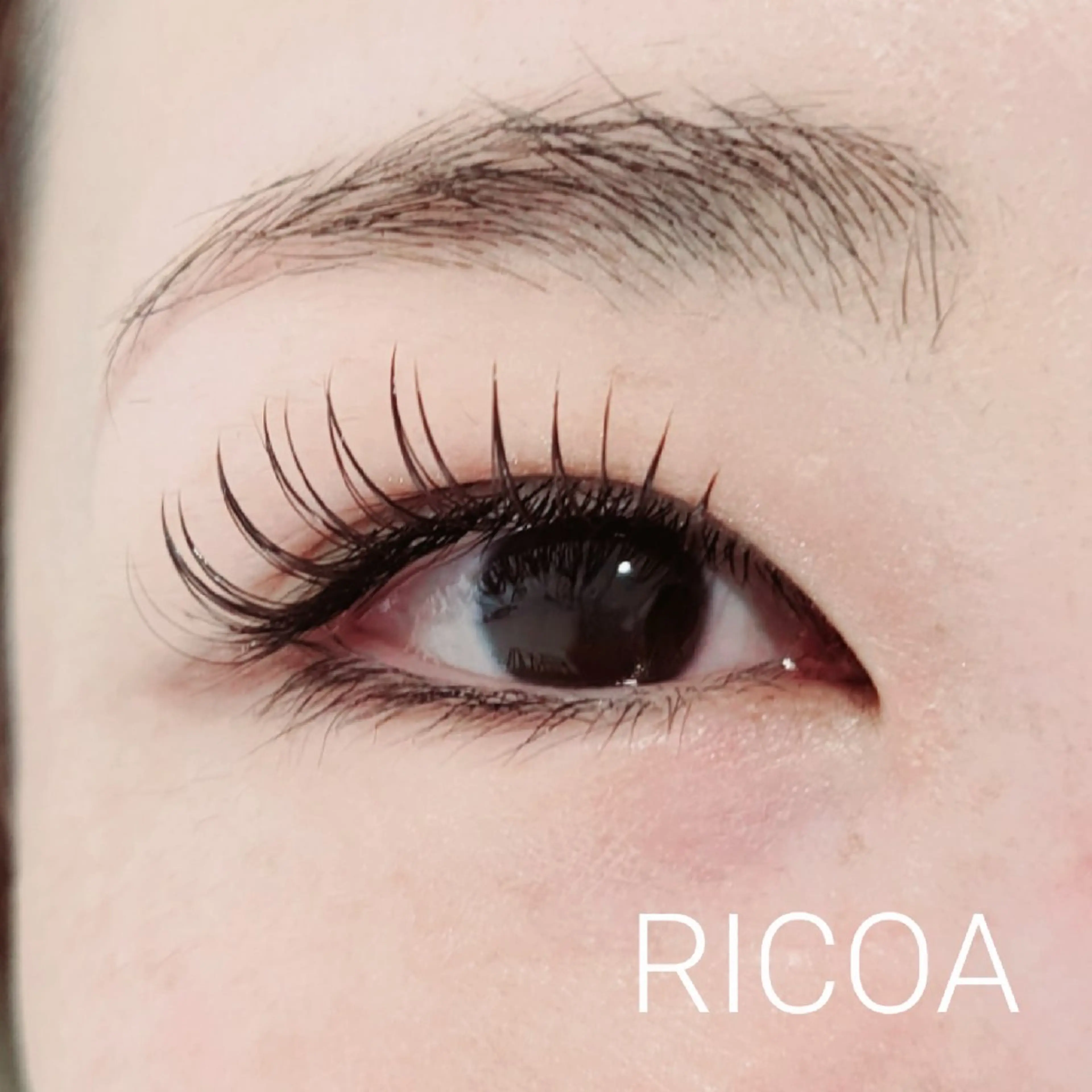 マツエク・マツパ カラーマツエク フラットラッシュ マツエク RICOA 酒井のマツエク・マツパデザイン