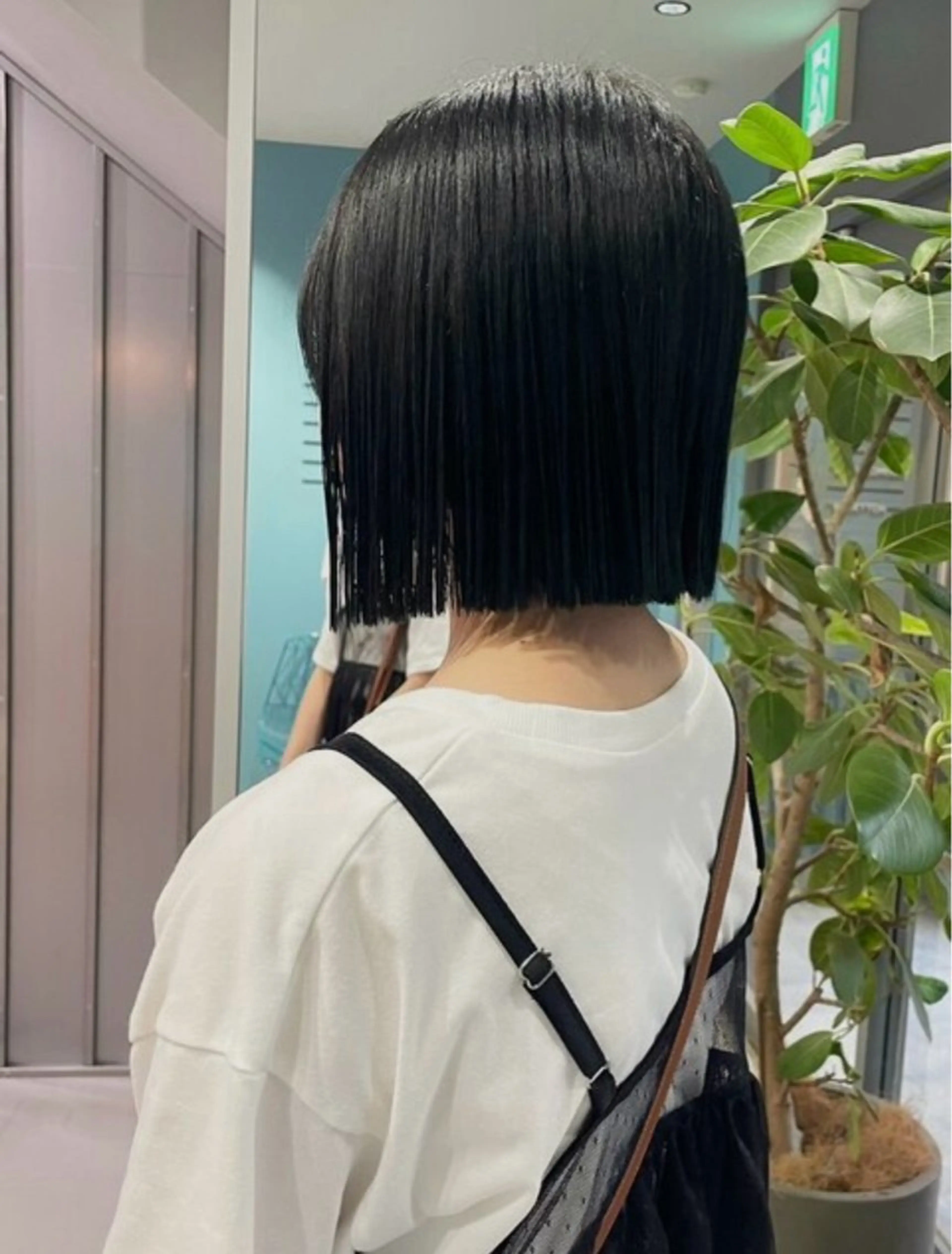 カット 🐈‍⬛JUMI /透明感カラー/🩶のヘアスタイル