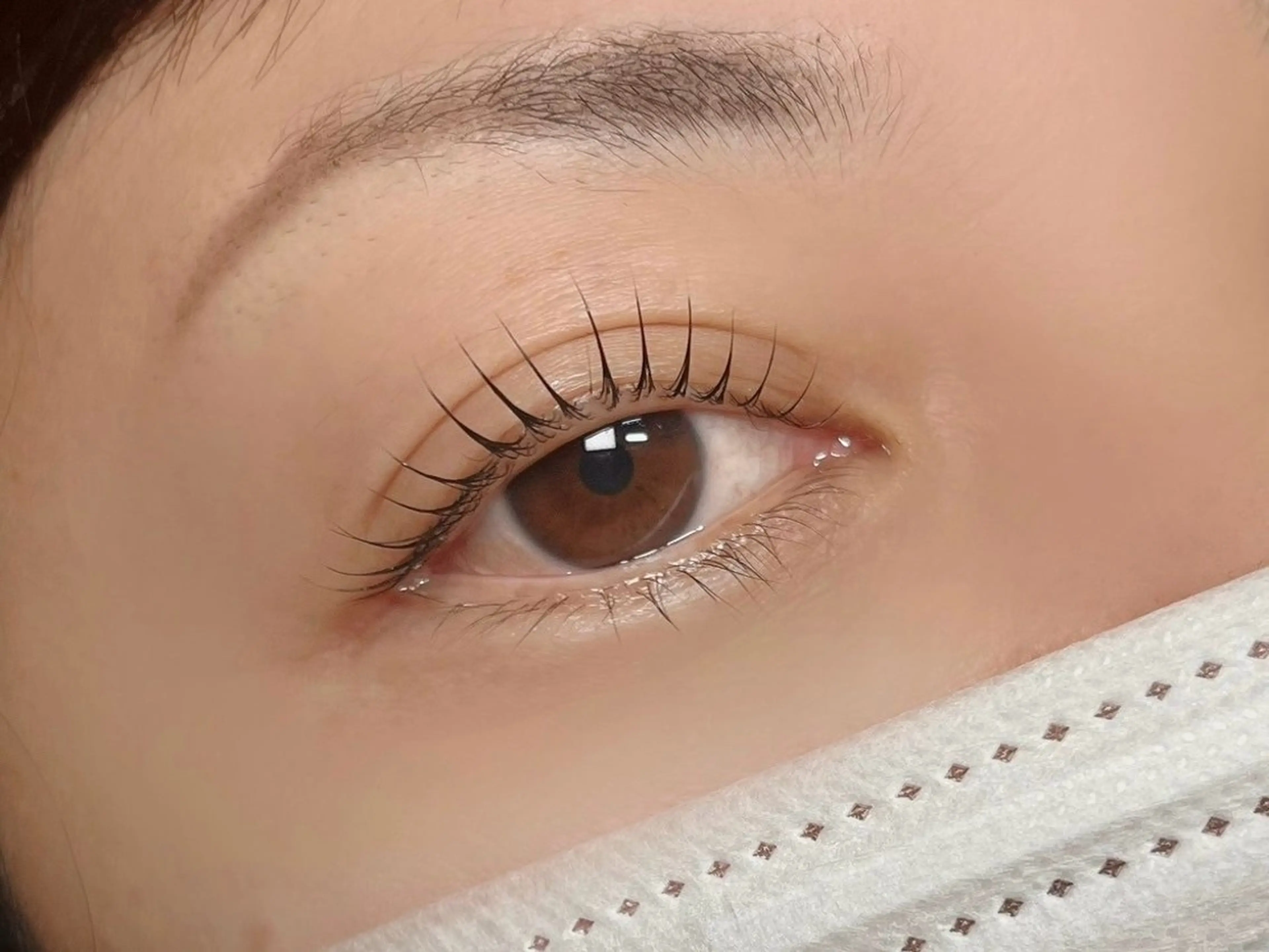 【束感OK】まつ毛パーマorパリジェンヌラッシュリフト アイシャンプー付の写真