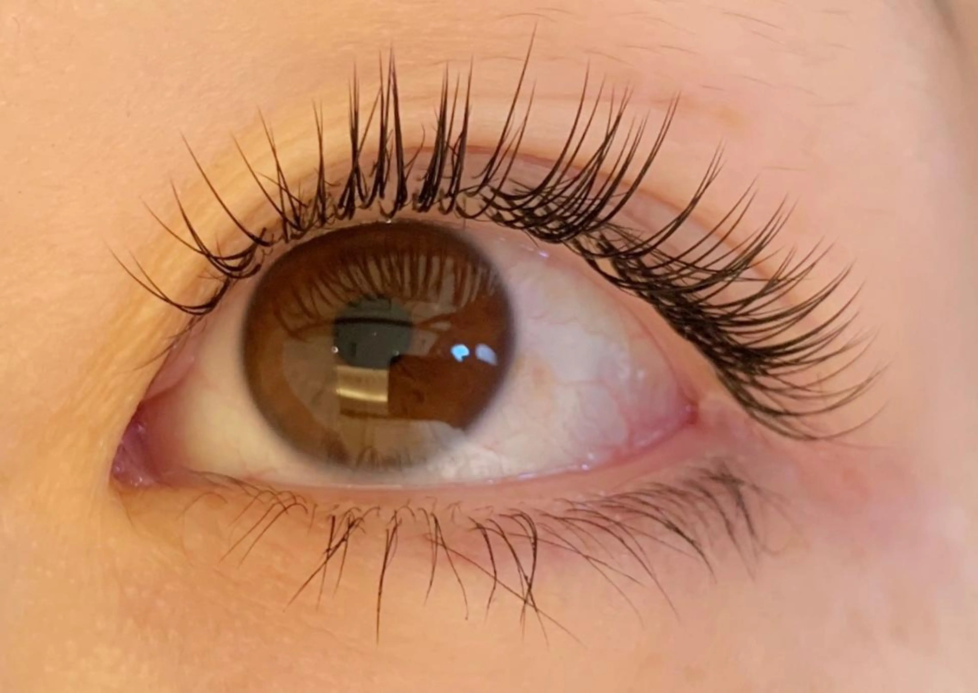 マツエク・マツパ キュート 銀座/LEDマツエク 高宮のマツエク・マツパデザイン