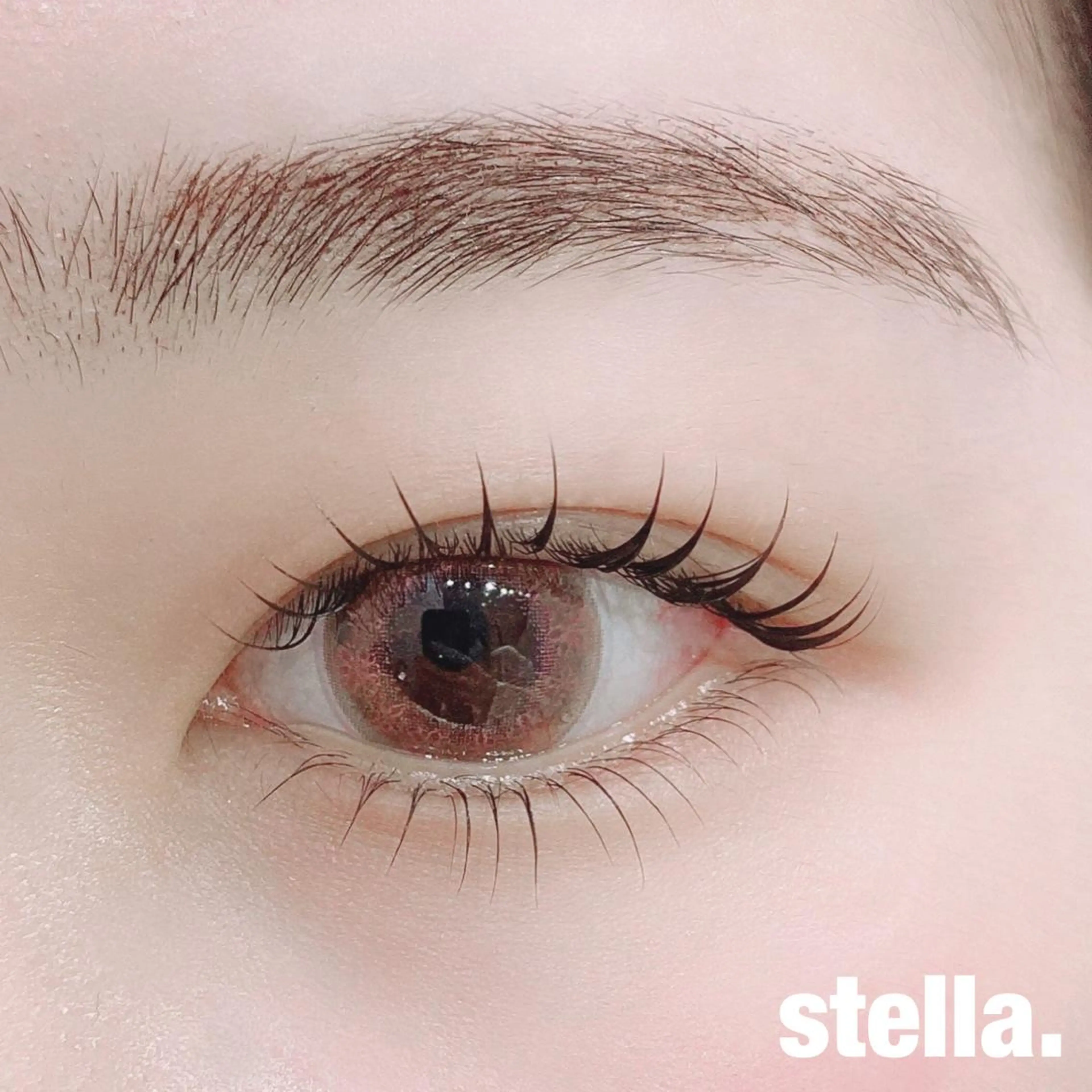 【下まつ毛パーマ】通常6600円⏩3900円💖の写真