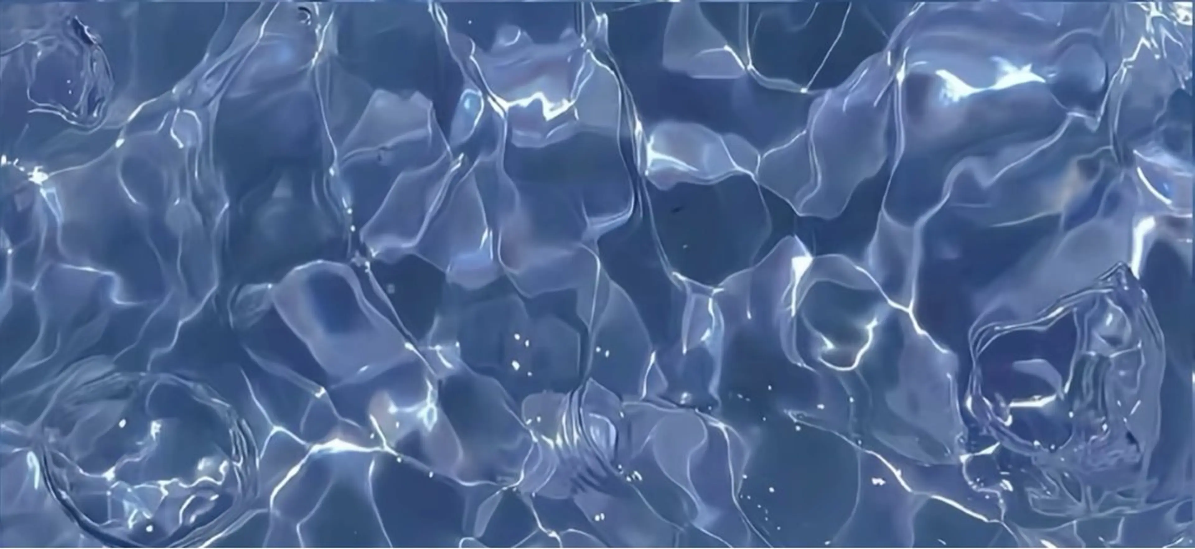 🫧ベットスパ 10分（シャンプー付き）🫧の写真