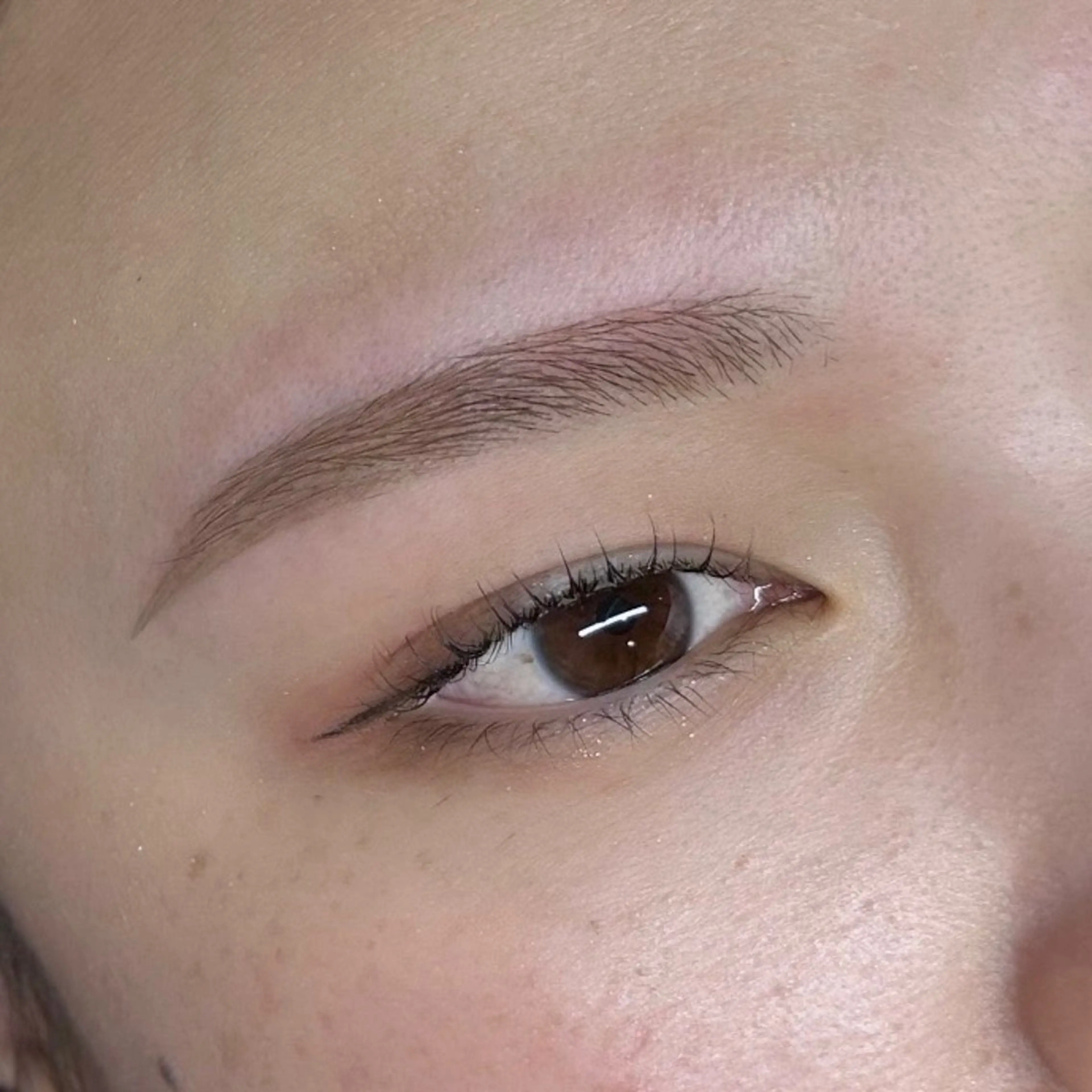 アイブロウ Cele￤ 今城　ななの眉毛・アイブロウイメージ