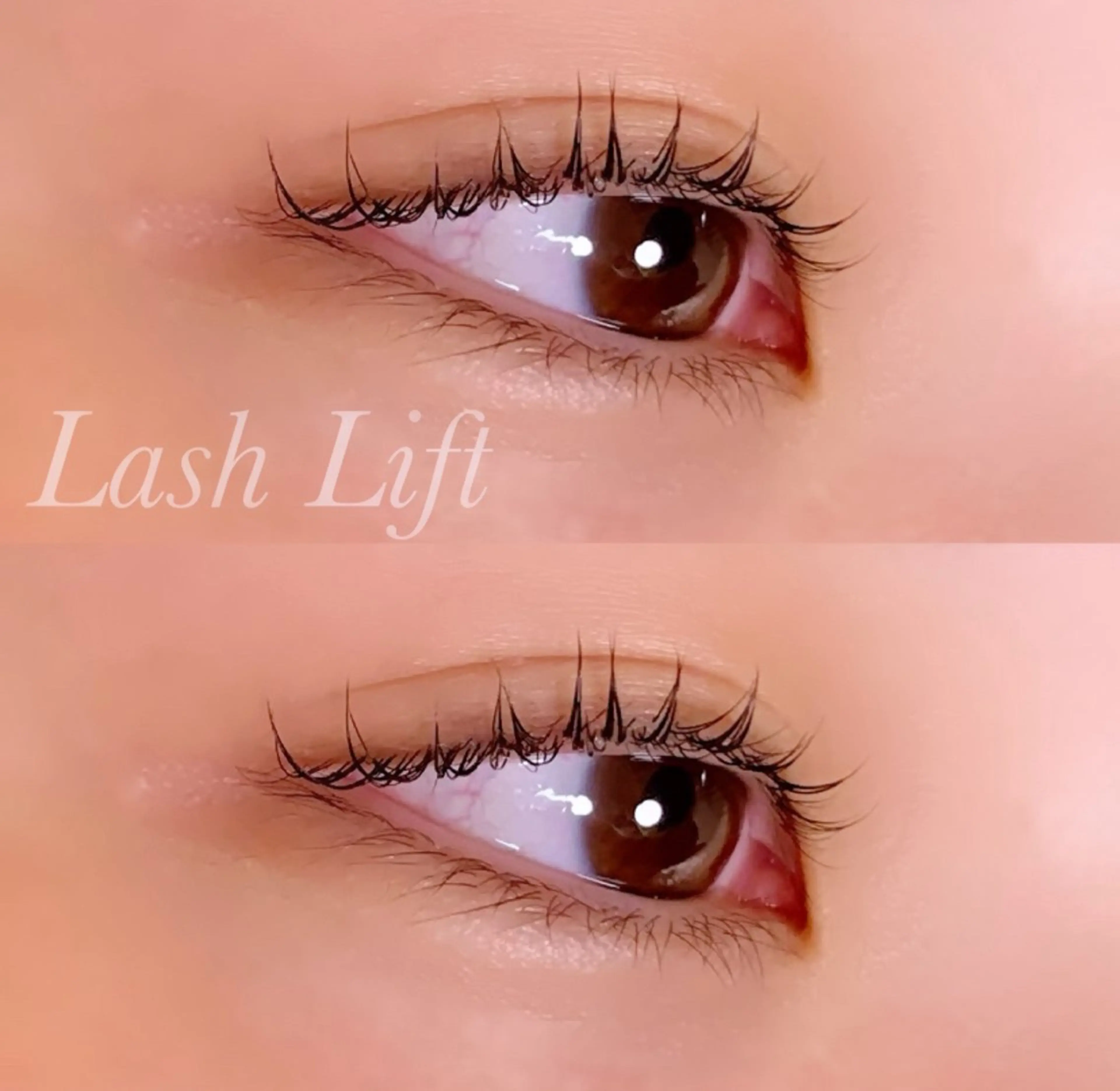 マツエク・マツパ まつげパーマ マツパ Ayumi.pro 🍆N《4階》のマツエク・マツパデザイン