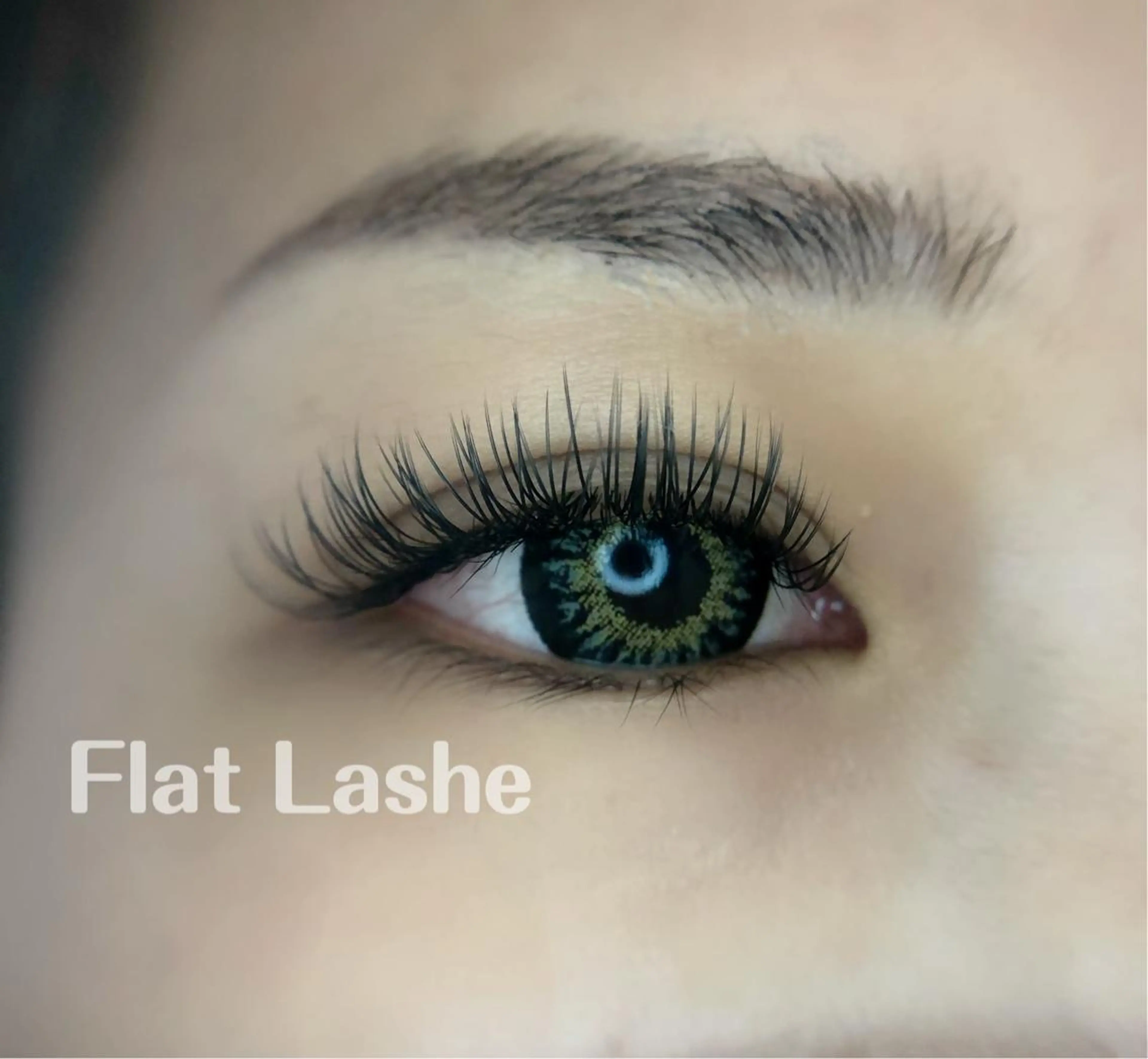 マツエク・マツパ フラットラッシュ K&E lashe /大垣　まつ毛、眉毛のマツエク・マツパデザイン