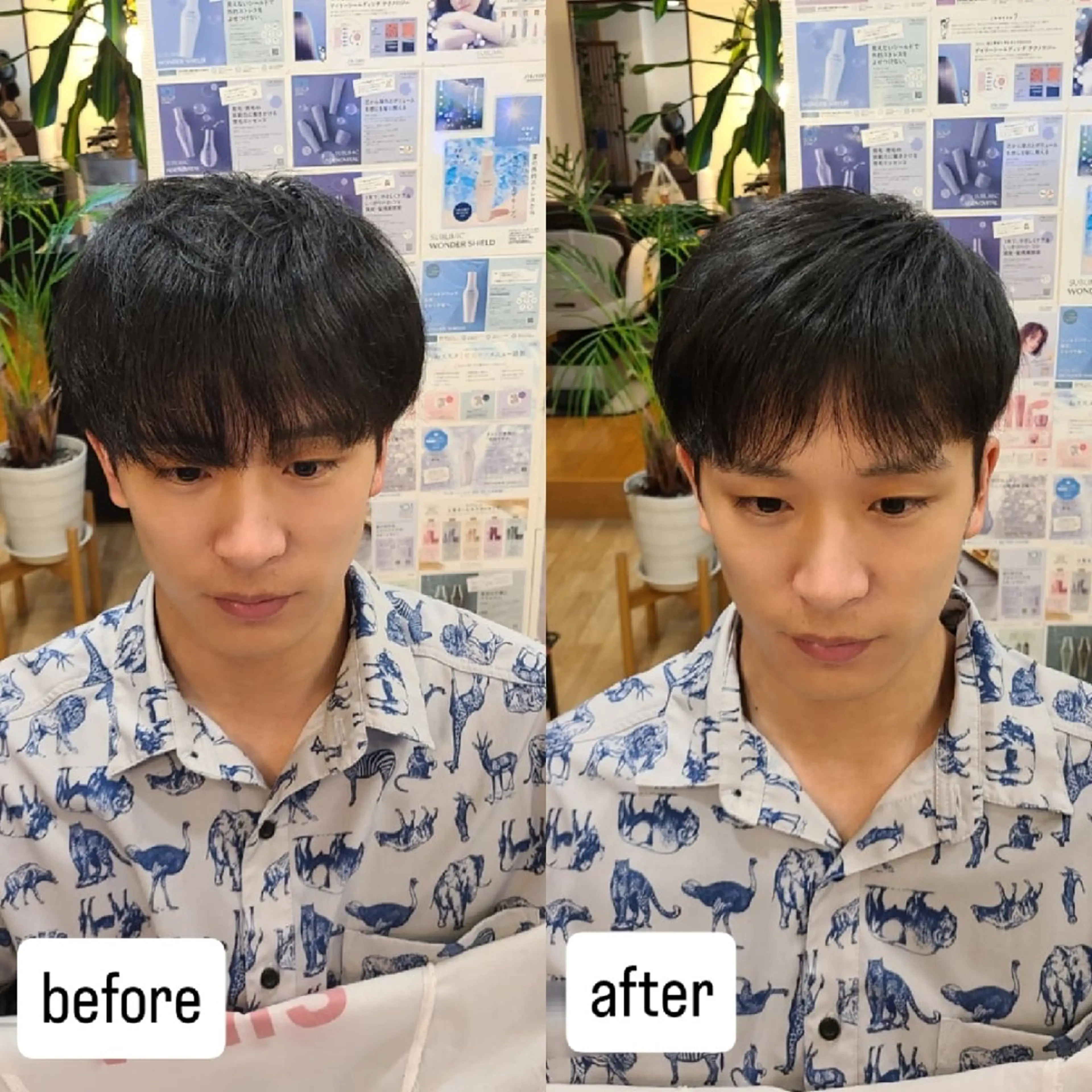 メンズ シ マのヘアスタイル