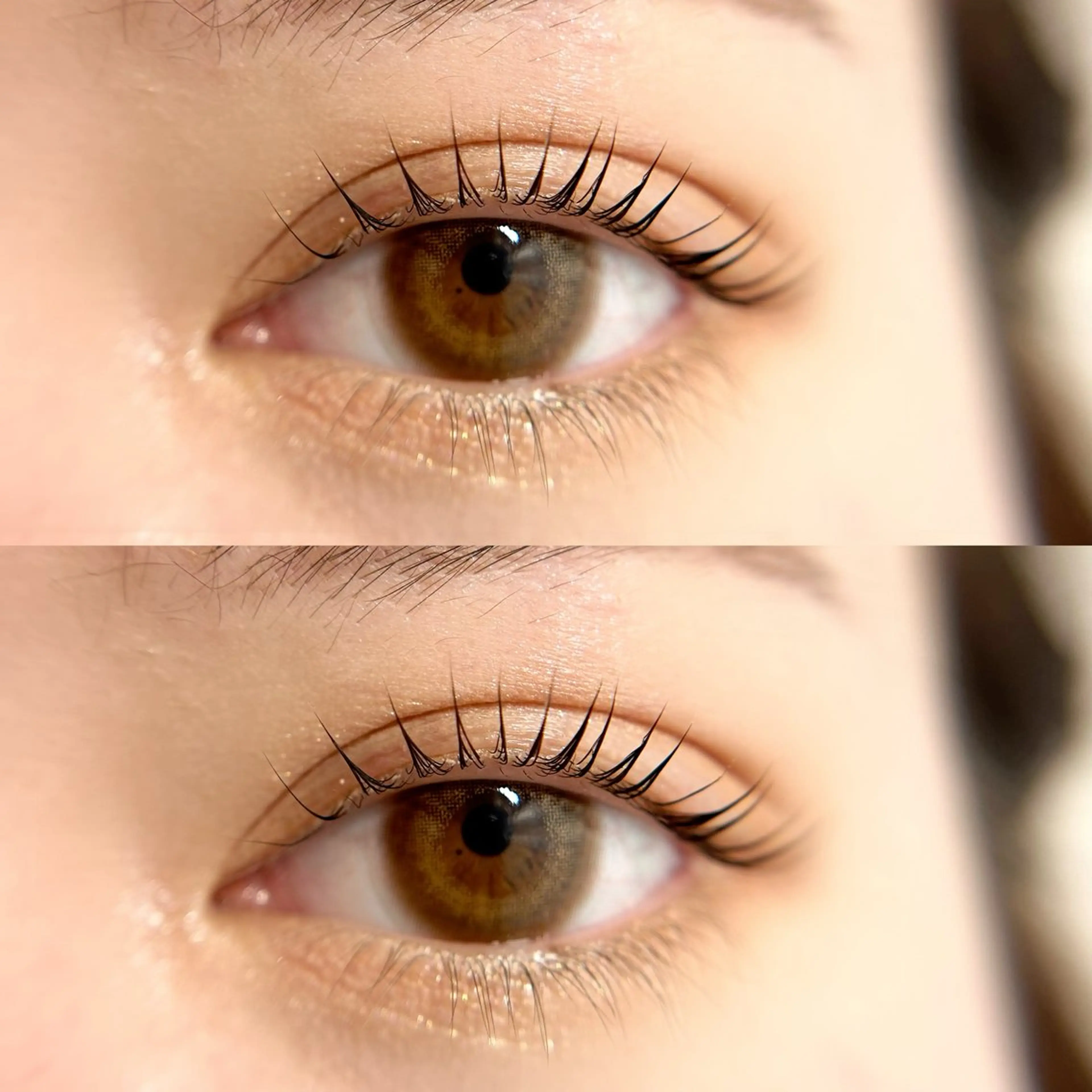 マツエク・マツパ peTiT京橋店🌷 yuiのマツエク・マツパデザイン