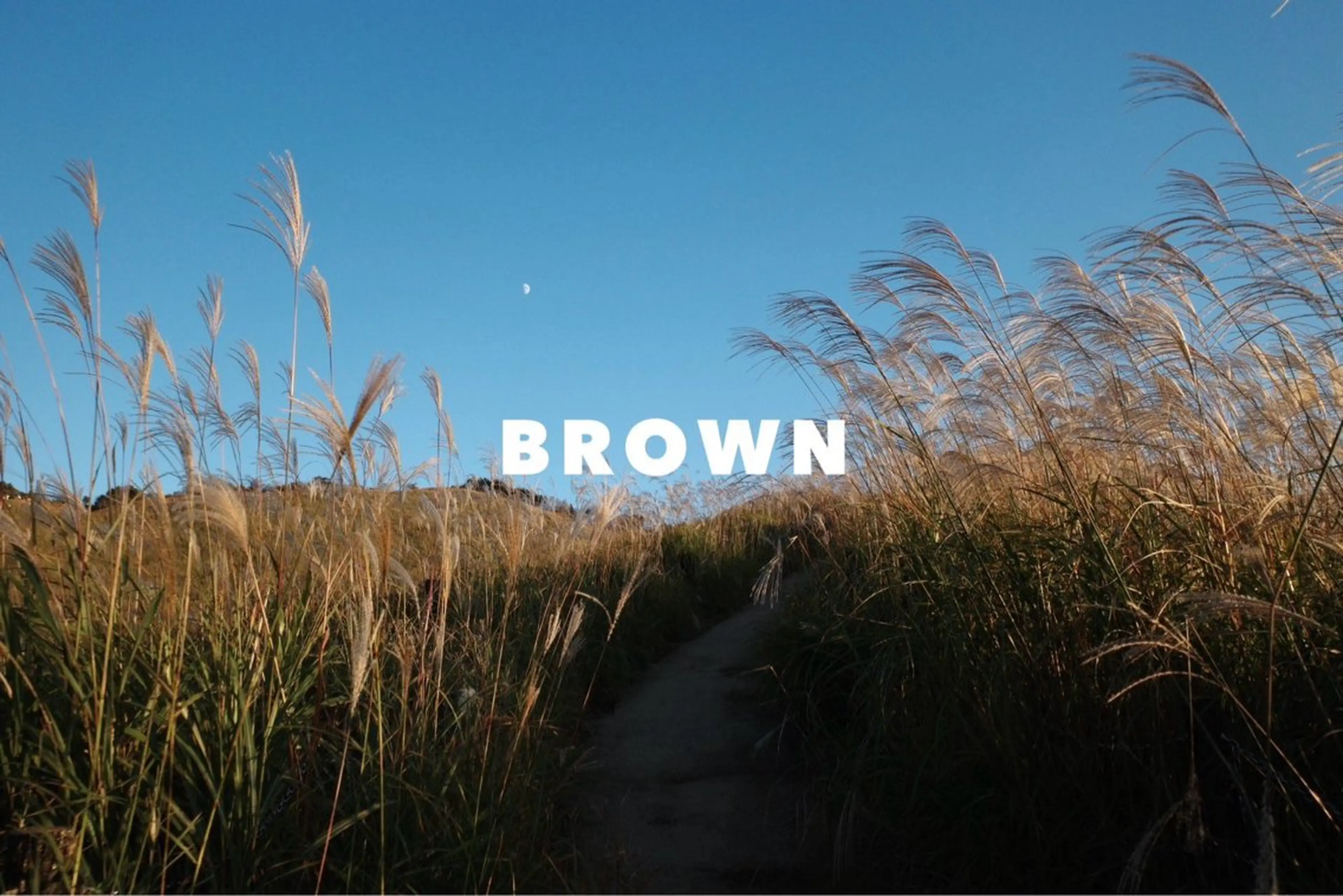 メンズ BROWNbyif所属・津山幸次郎 大阪福島/メンズのヘアスタイル