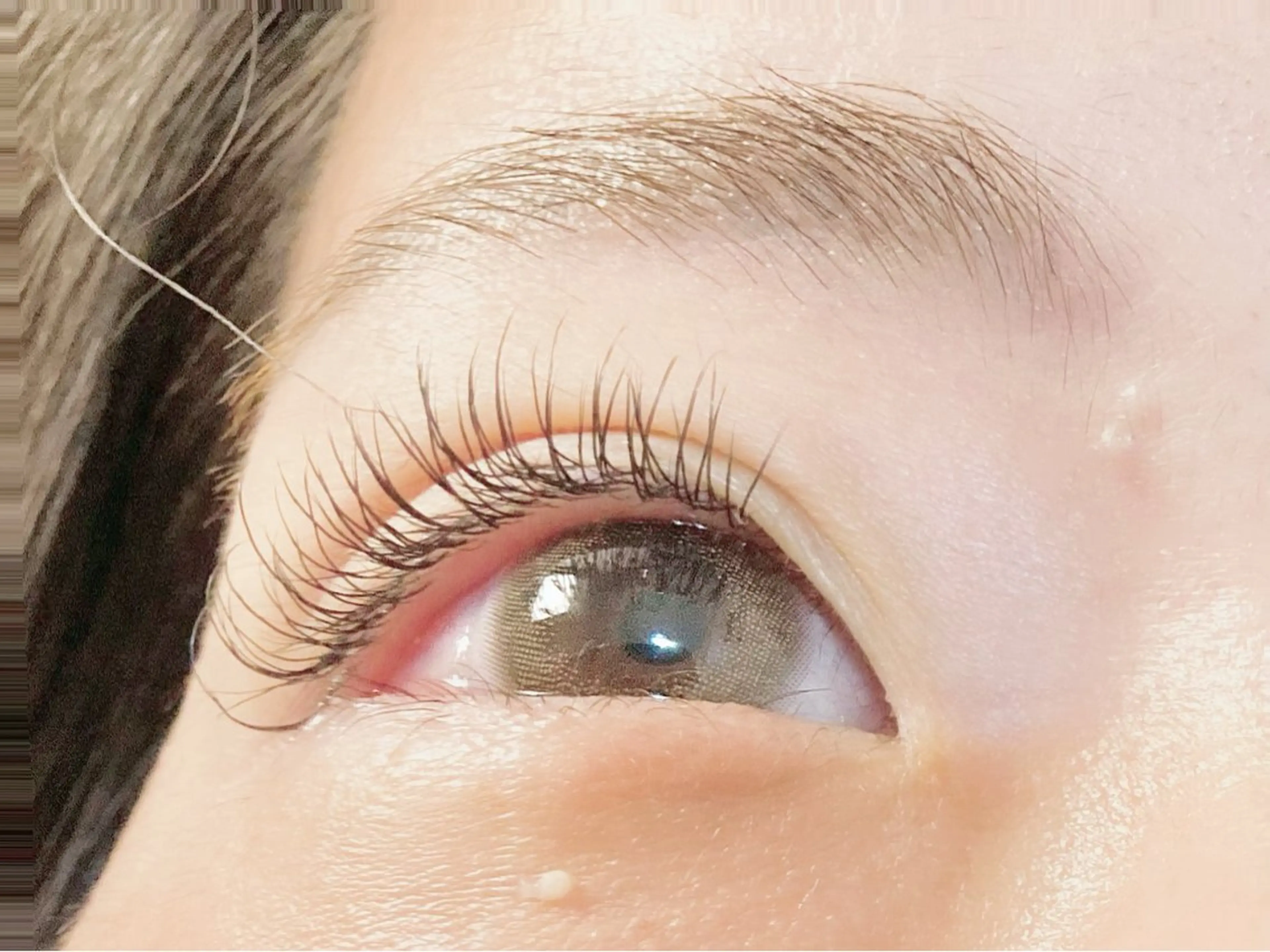 マツエク・マツパ totalsalon koa5のマツエク・マツパデザイン