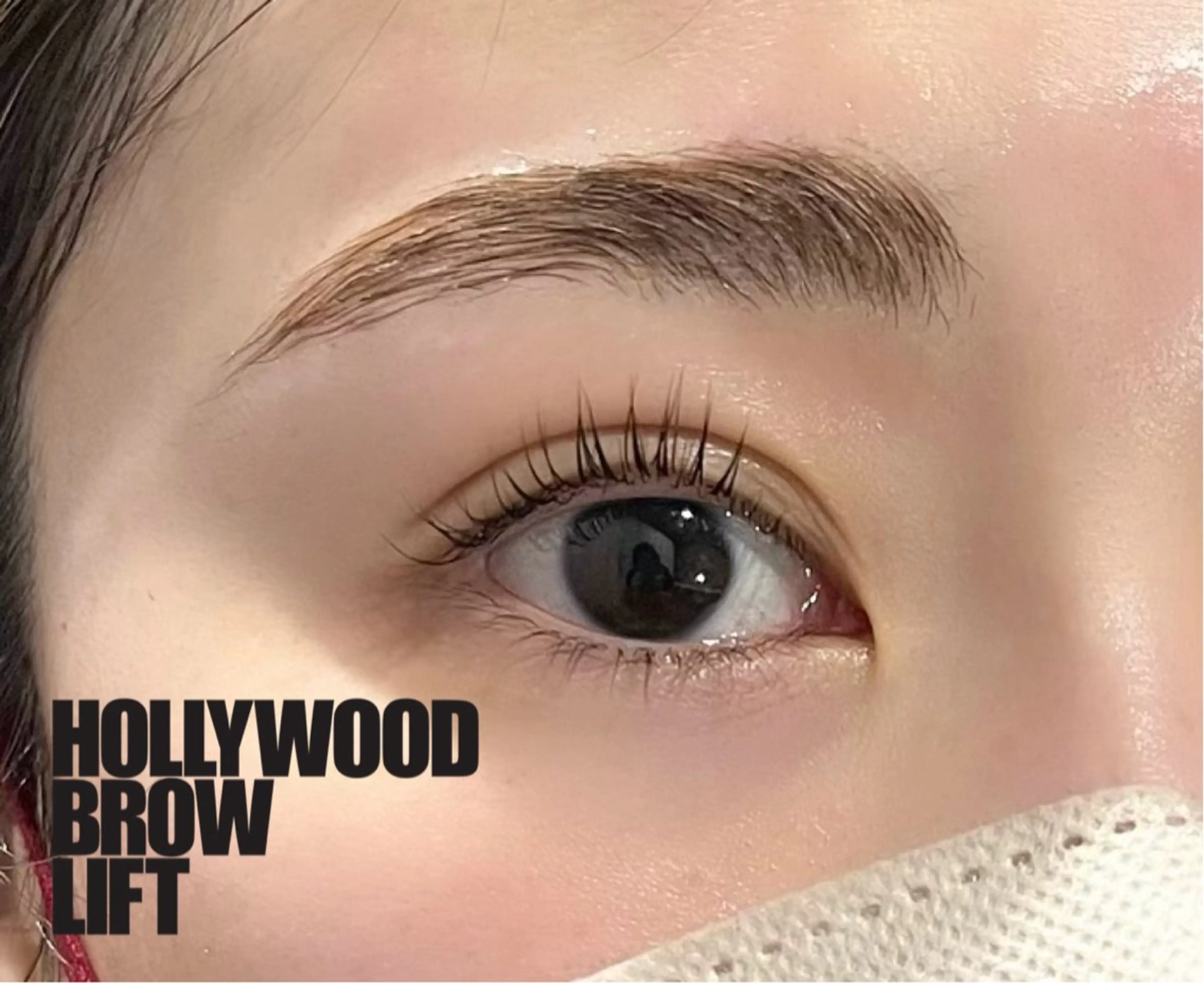 アイブロウ ハリウッドブロウリフト EYE405 SAKURAのマツエク・マツパデザイン