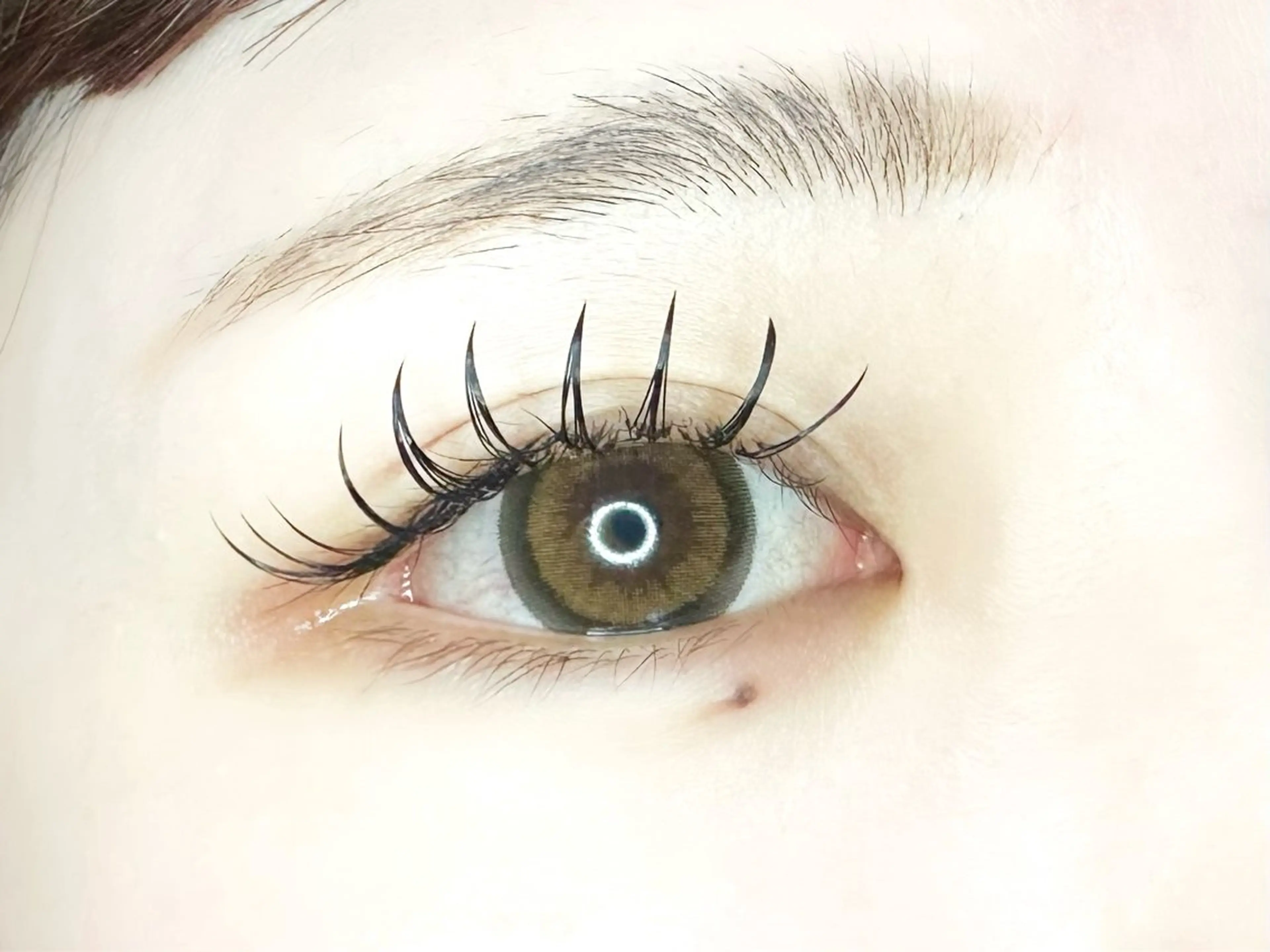 マツエク・マツパ フラットラッシュ マツエク eyelist .Sのマツエク・マツパデザイン