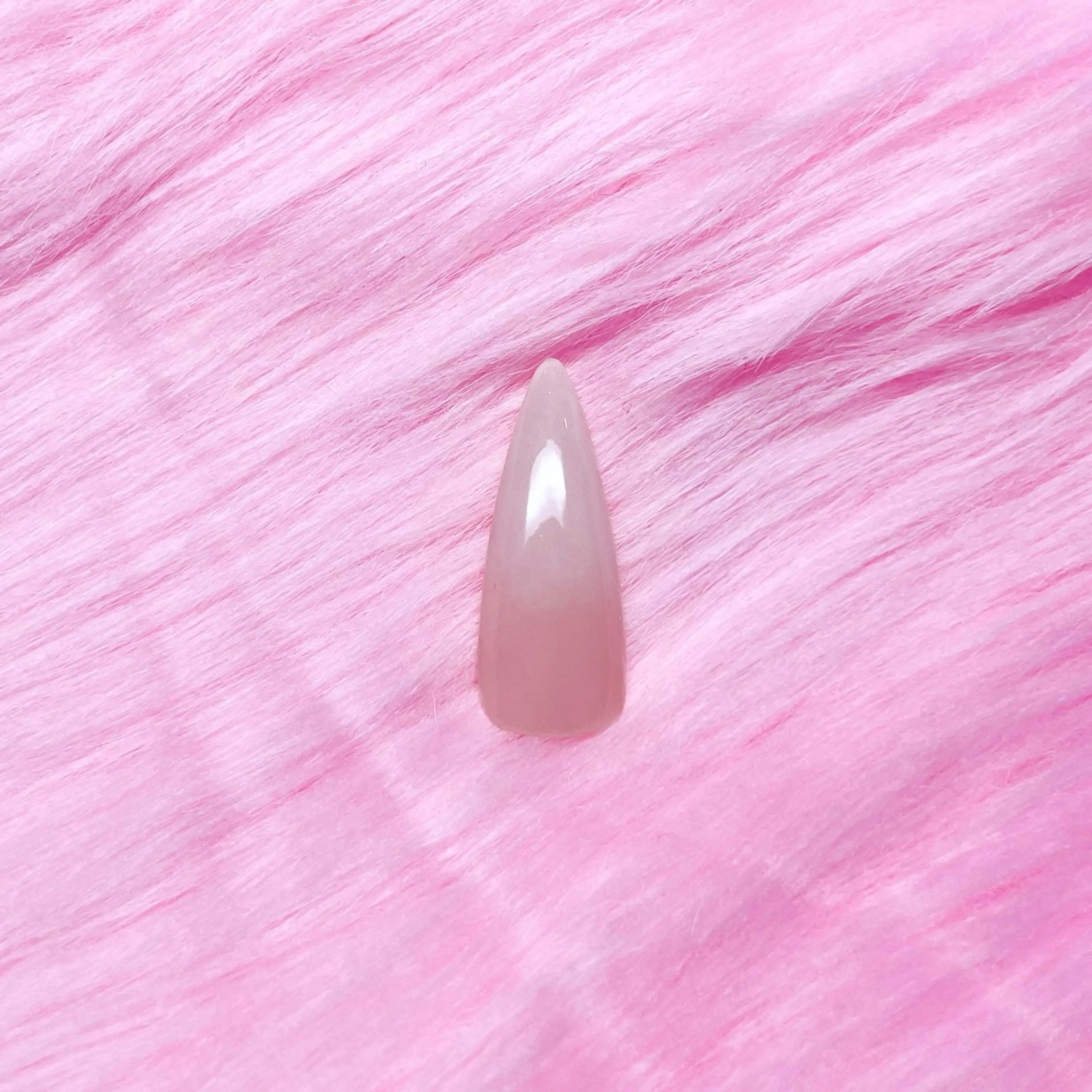 ベイビーブーマー(オフなし)の写真