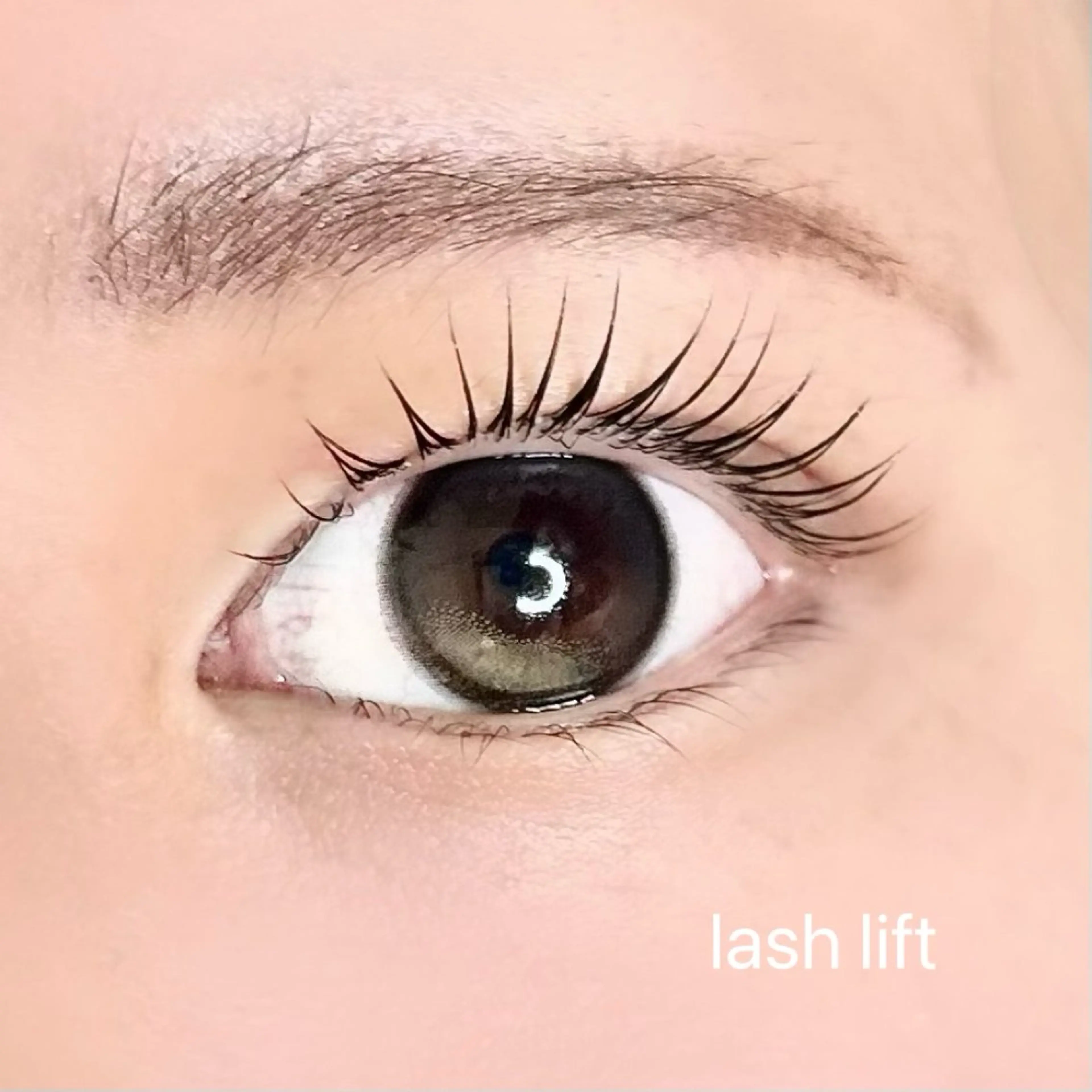 マツエク・マツパ まつげパーマ マツパ elua eyelashの眉毛・アイブロウイメージ