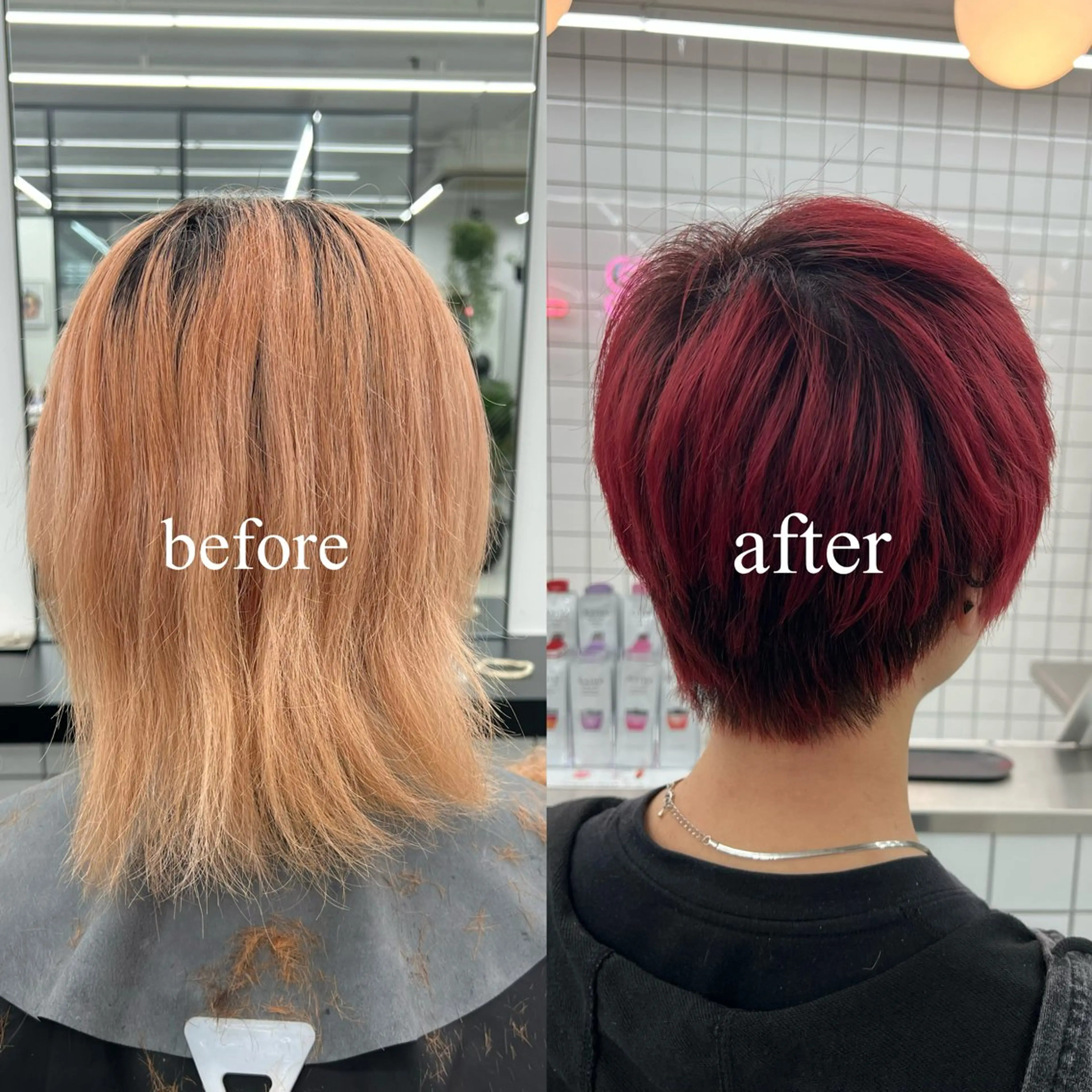 ショート カラー ベリーショート ブリーチ デザインカラー グラデーションカラー レッドカラー カット ヘアカラー 🌷︎あすか🌷 JILLSTUDIOのヘアスタイル