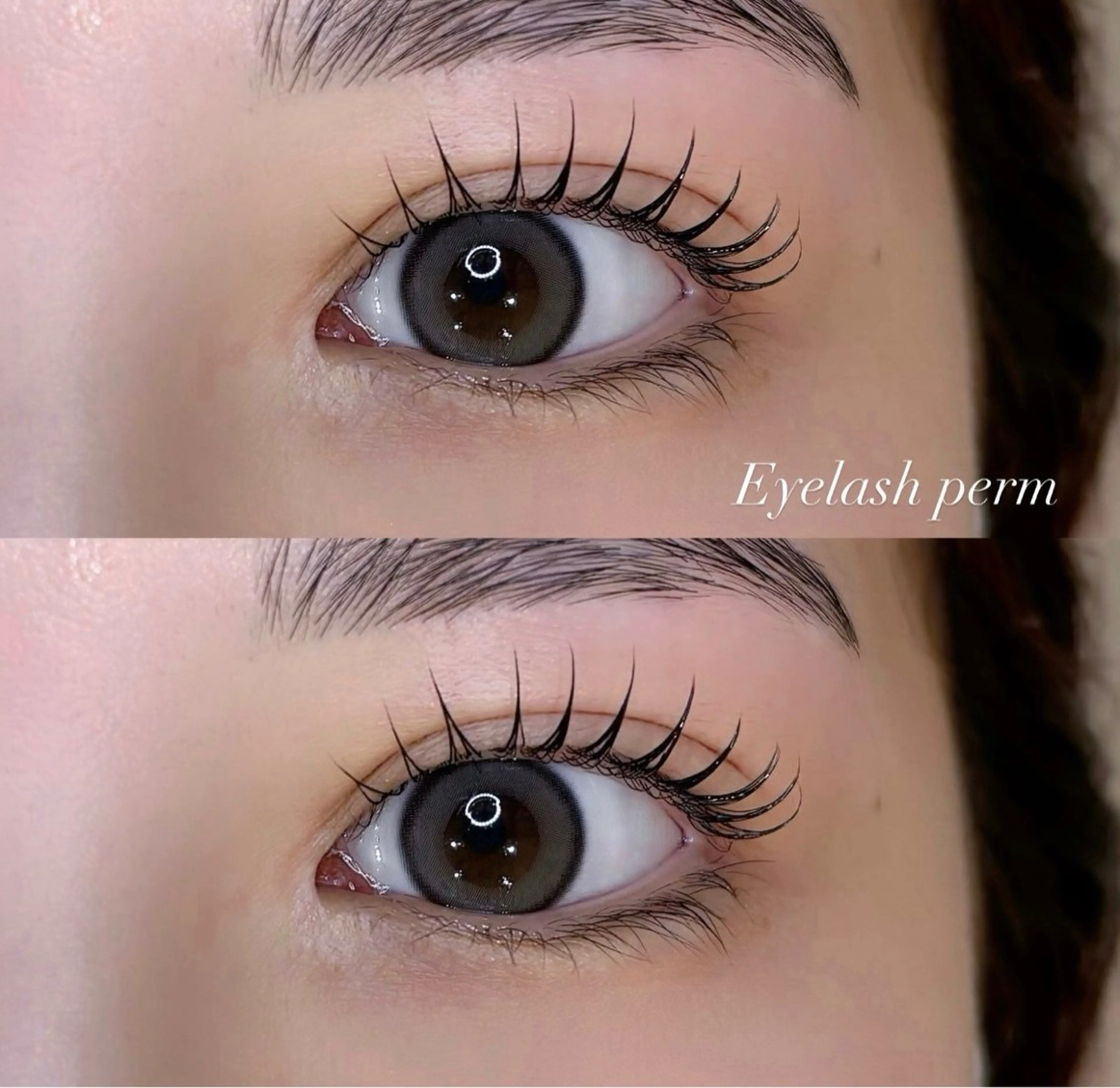 『平日限定』眉毛wax脱毛(1回)+アッパーリフトカール(上)✨✨の写真