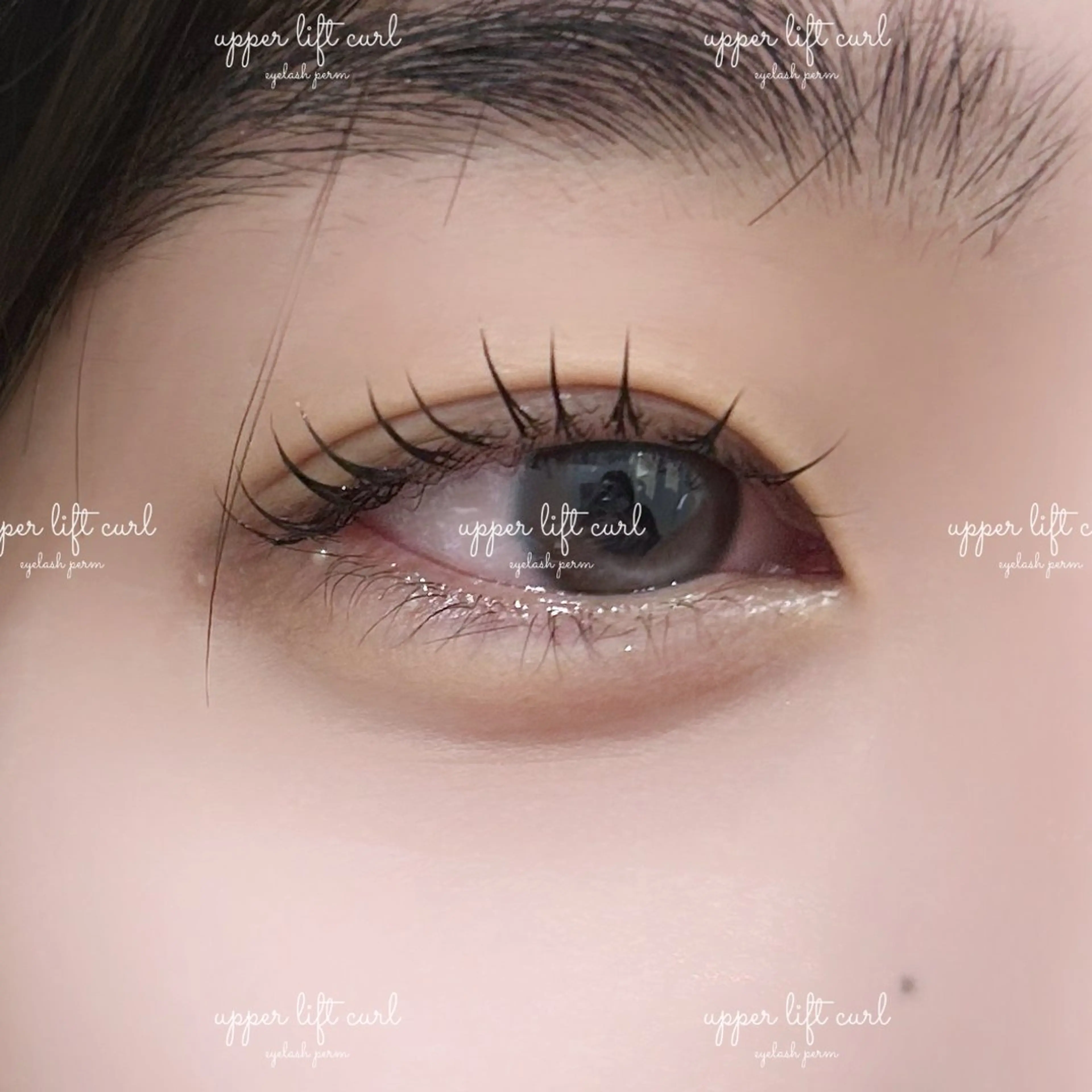 マツエク・マツパ ナチュラル 一重×まつ毛パーマ アッパーリフトカール マツパ feino&coco ￤marin🪽のマツエク・マツパデザイン
