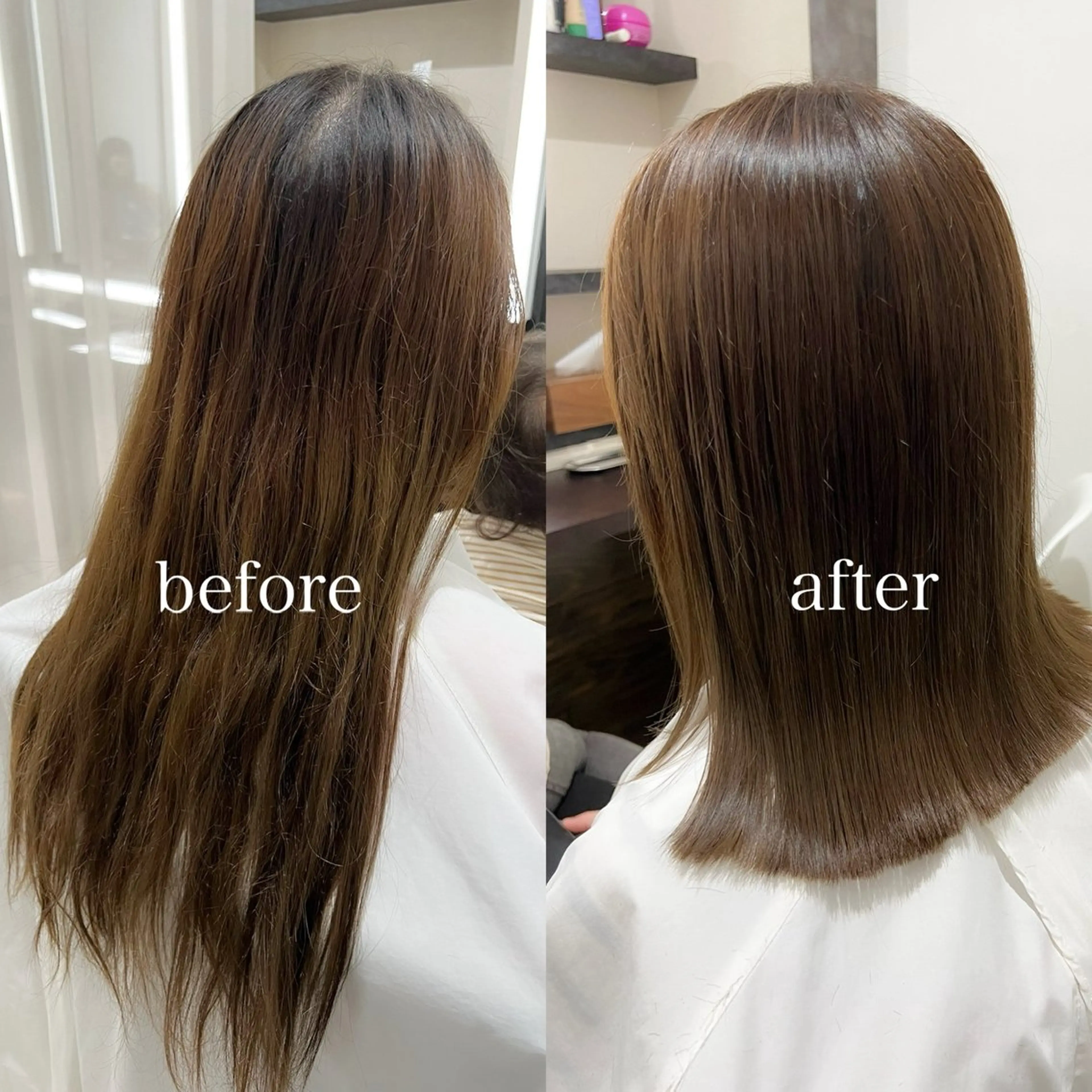 人気No.1⭐️診断書付き⭐️韓国美髪フルコース(カット+カラー+髪質改善)🌈の写真