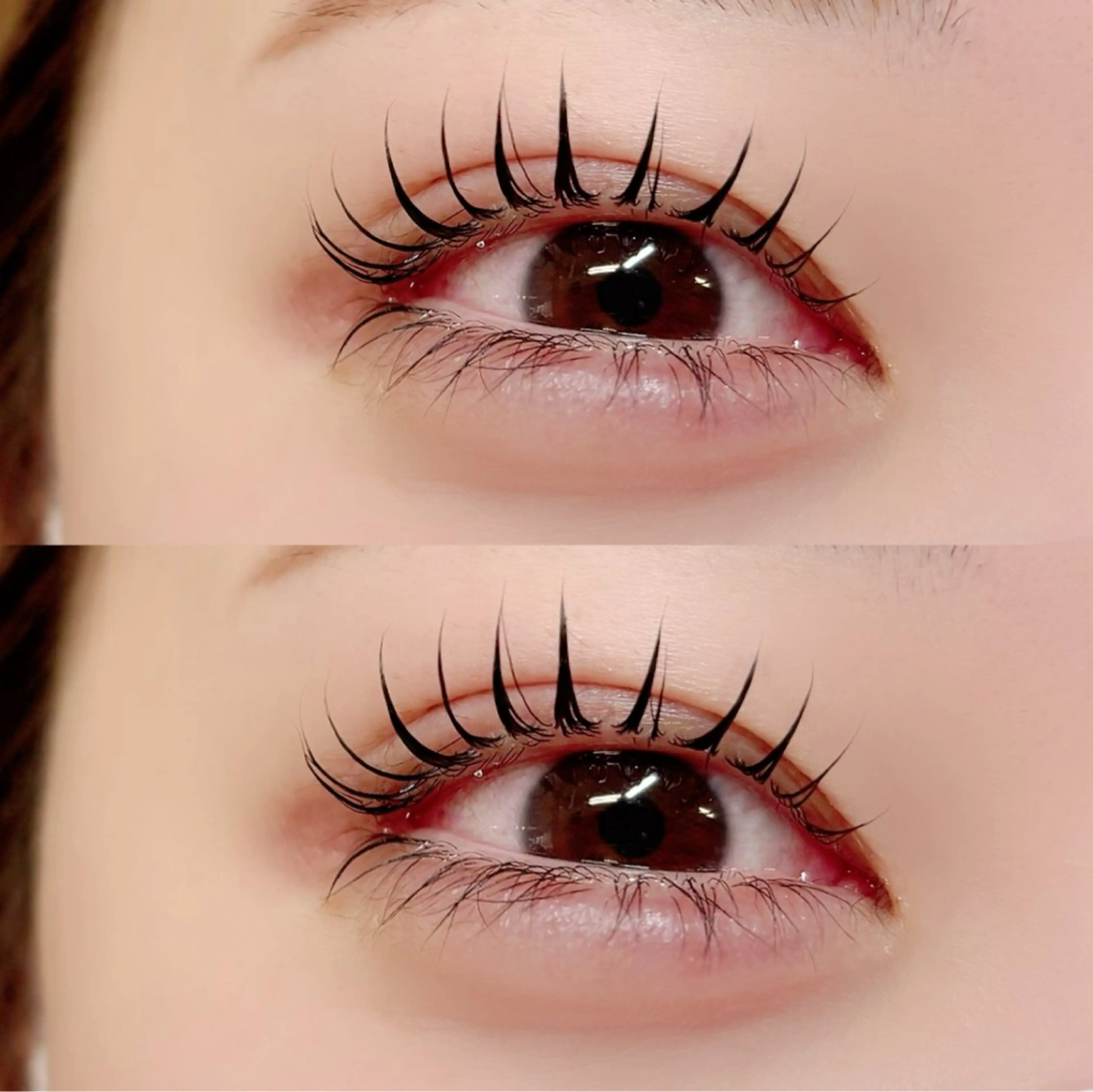 🎀無料(上)まつ毛パーマ🎀レッスンモデル👧🏻の写真