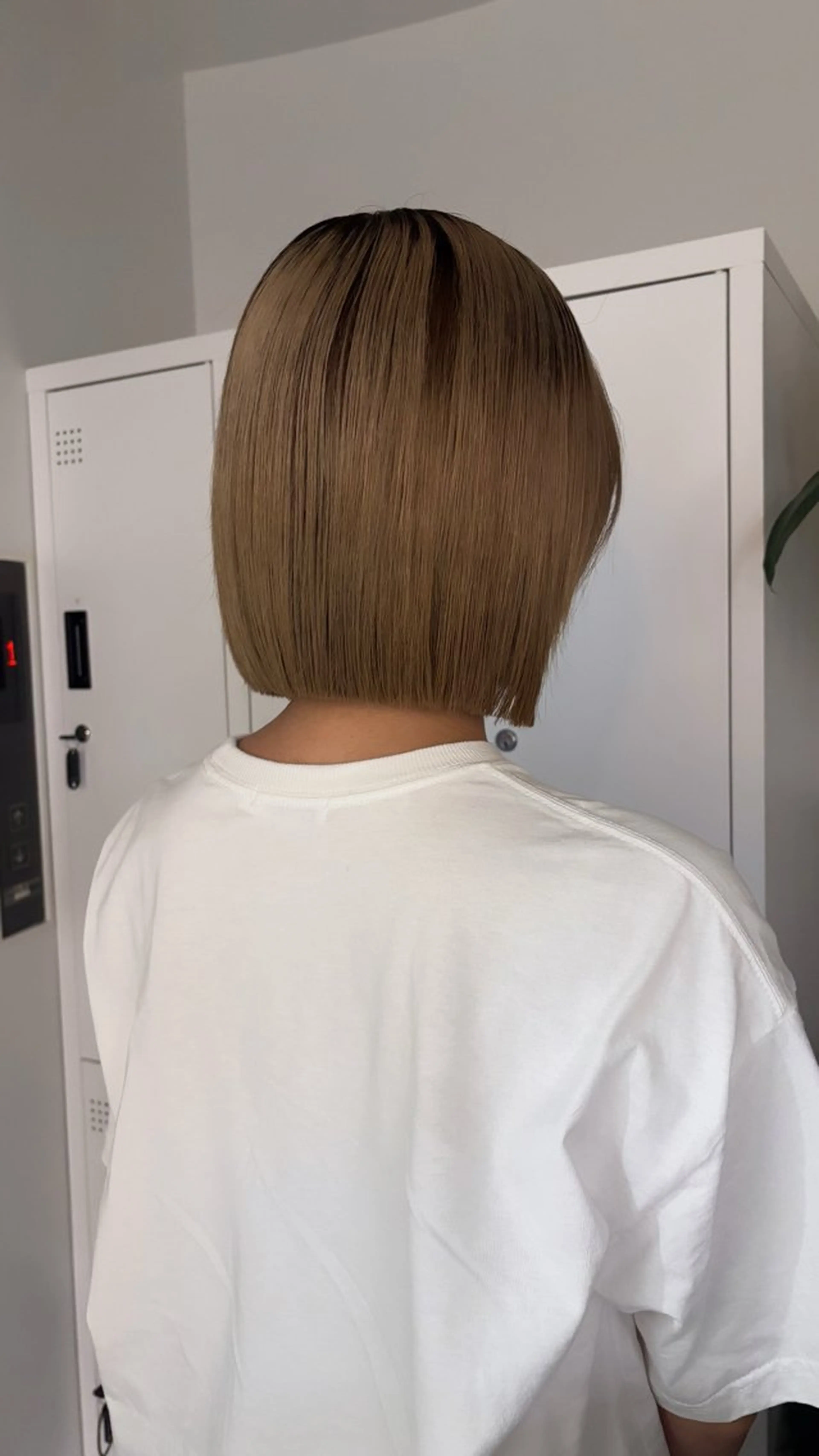 ショート カット トリートメント 新宿/ボブ/レイヤー 縮毛矯正/SACHIのヘアスタイル