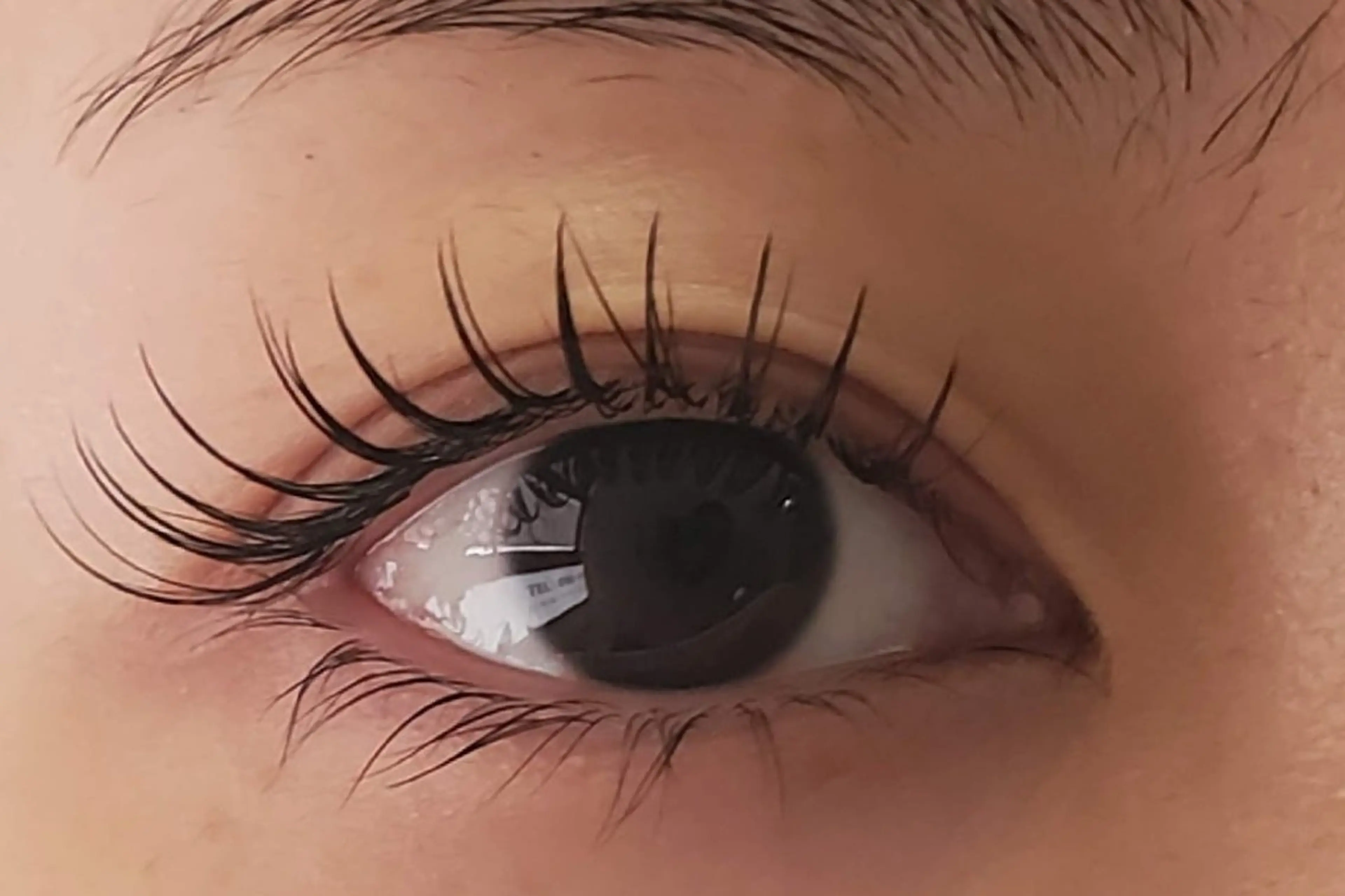 マツエク・マツパ PINKLASH  EyeStudio のマツエク・マツパデザイン