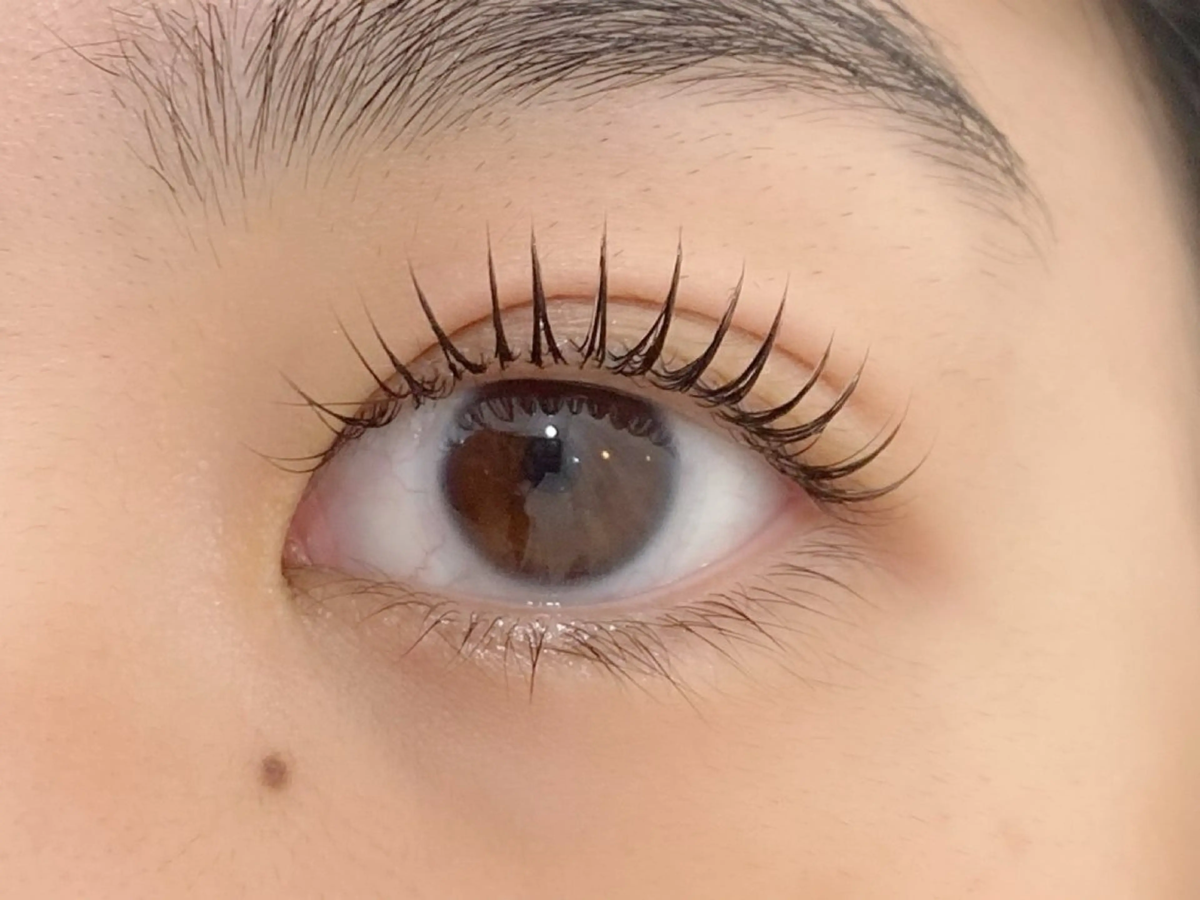 マツエク・マツパ ⭐️当日予約OK⭐️ ひだかの眉毛・アイブロウイメージ