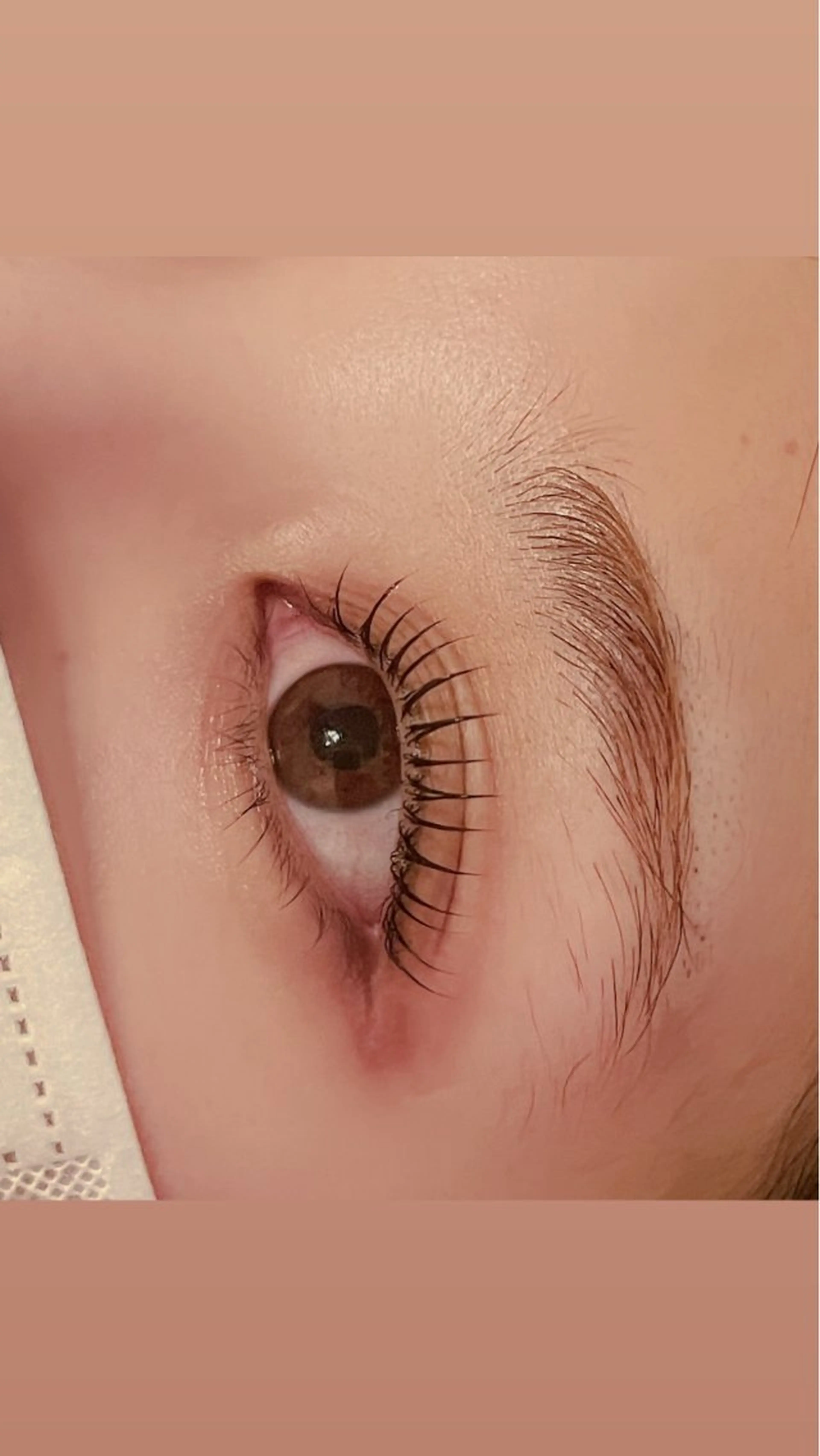 【ミニモ学割】ラッシュリフトの写真