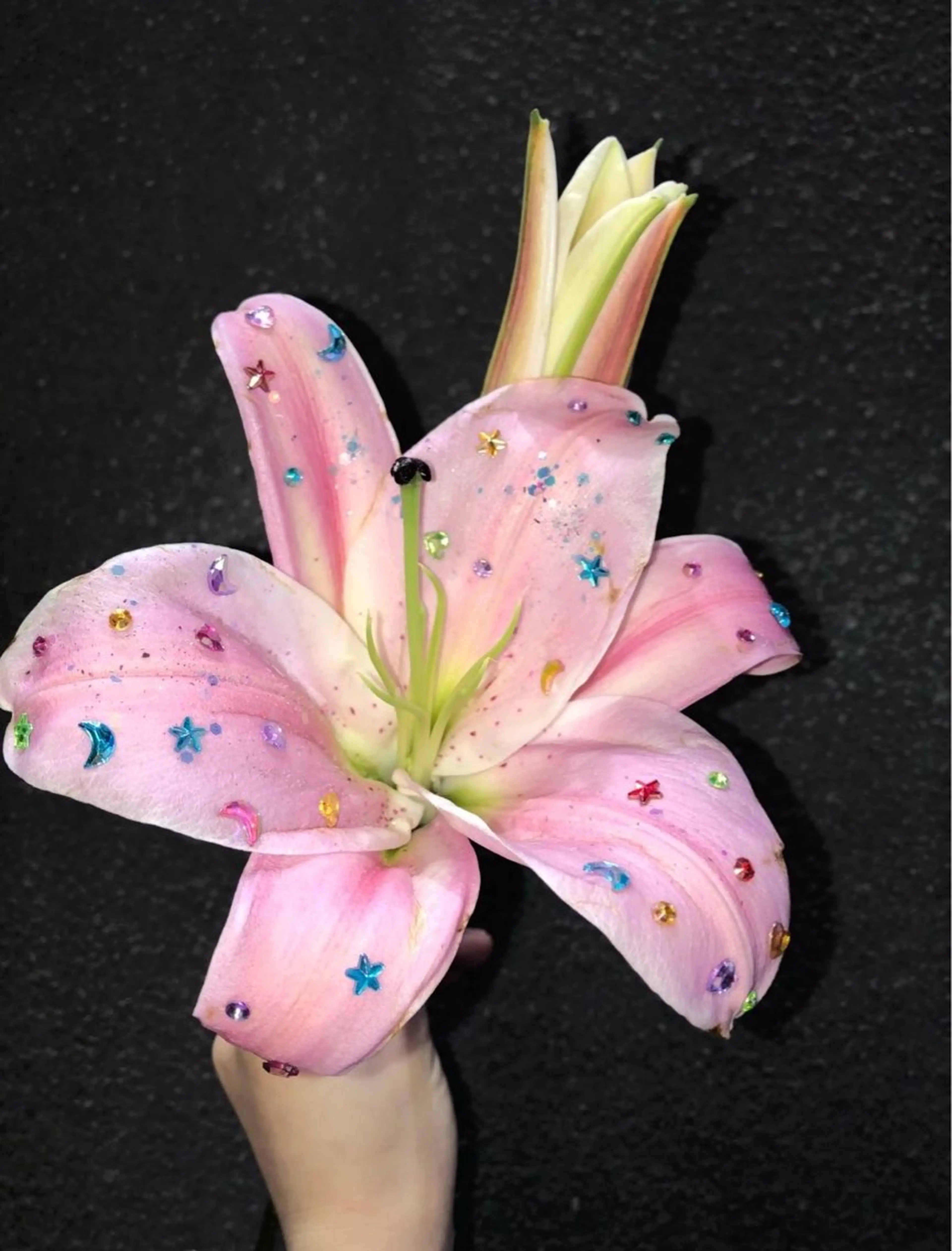 《 こちらのメニューではご予約出来ません 》の写真