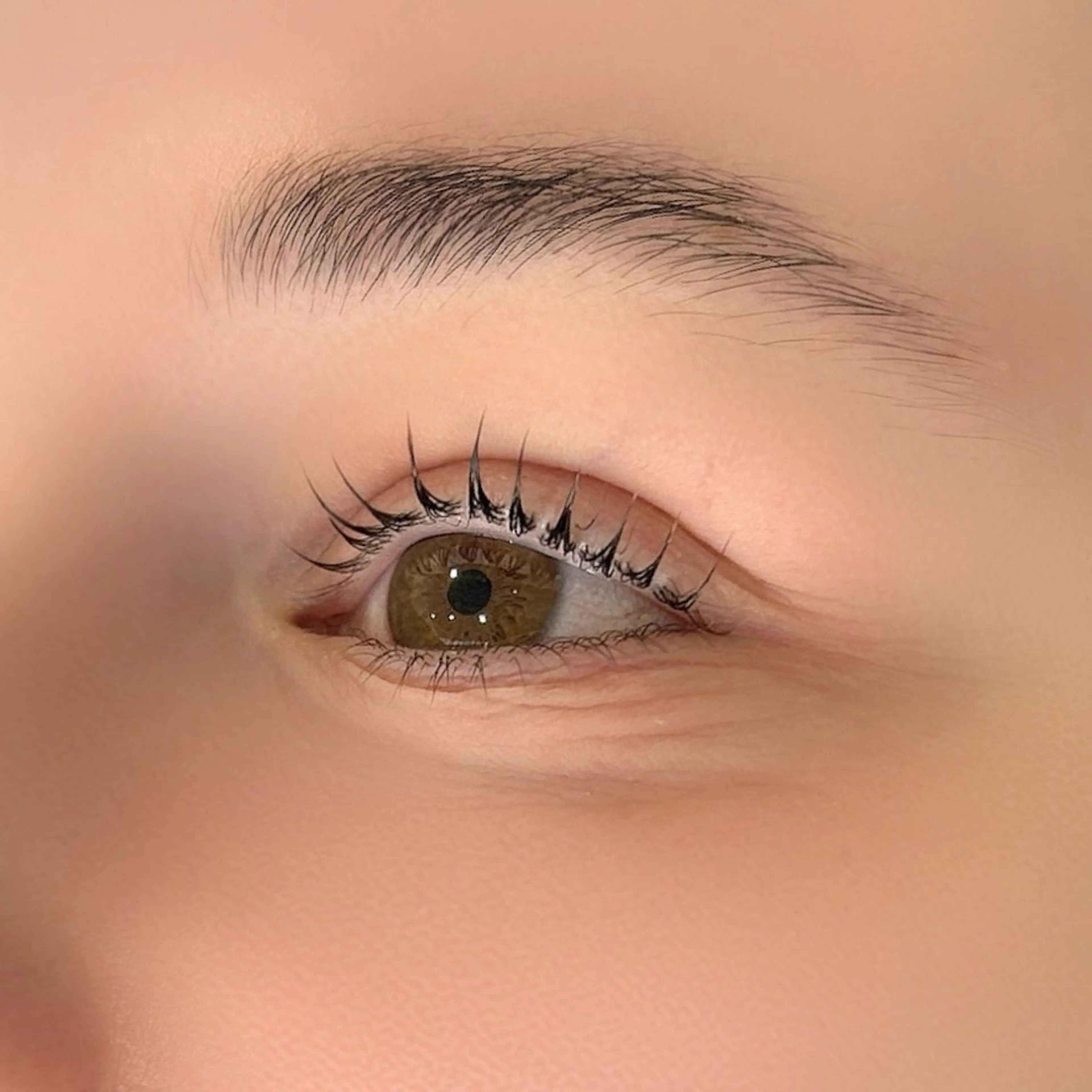 🪞マツパ上のみ🪞【アイシャンプー・コーティング込み】の写真