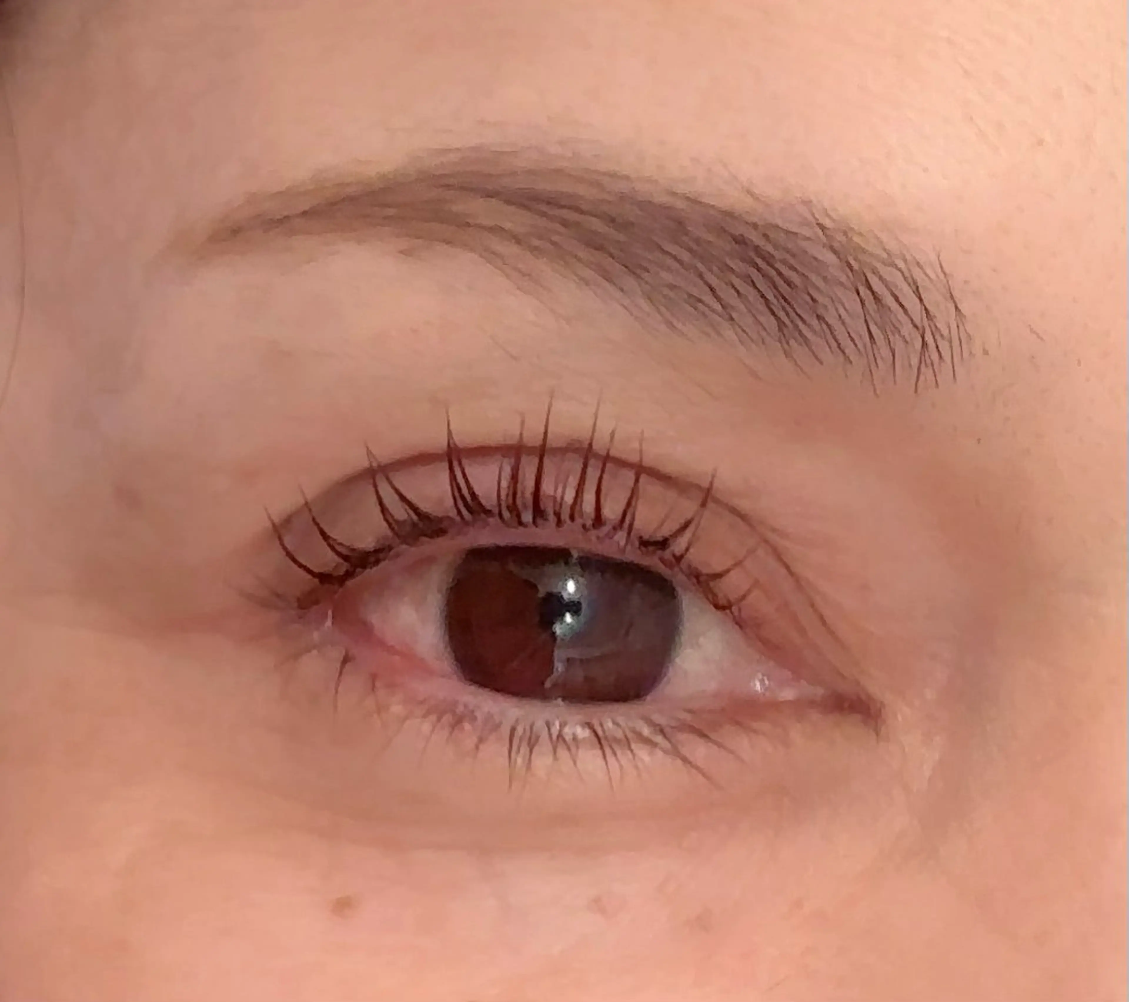 【４月５月限定価格✨】ラッシュリフト👀那覇の写真