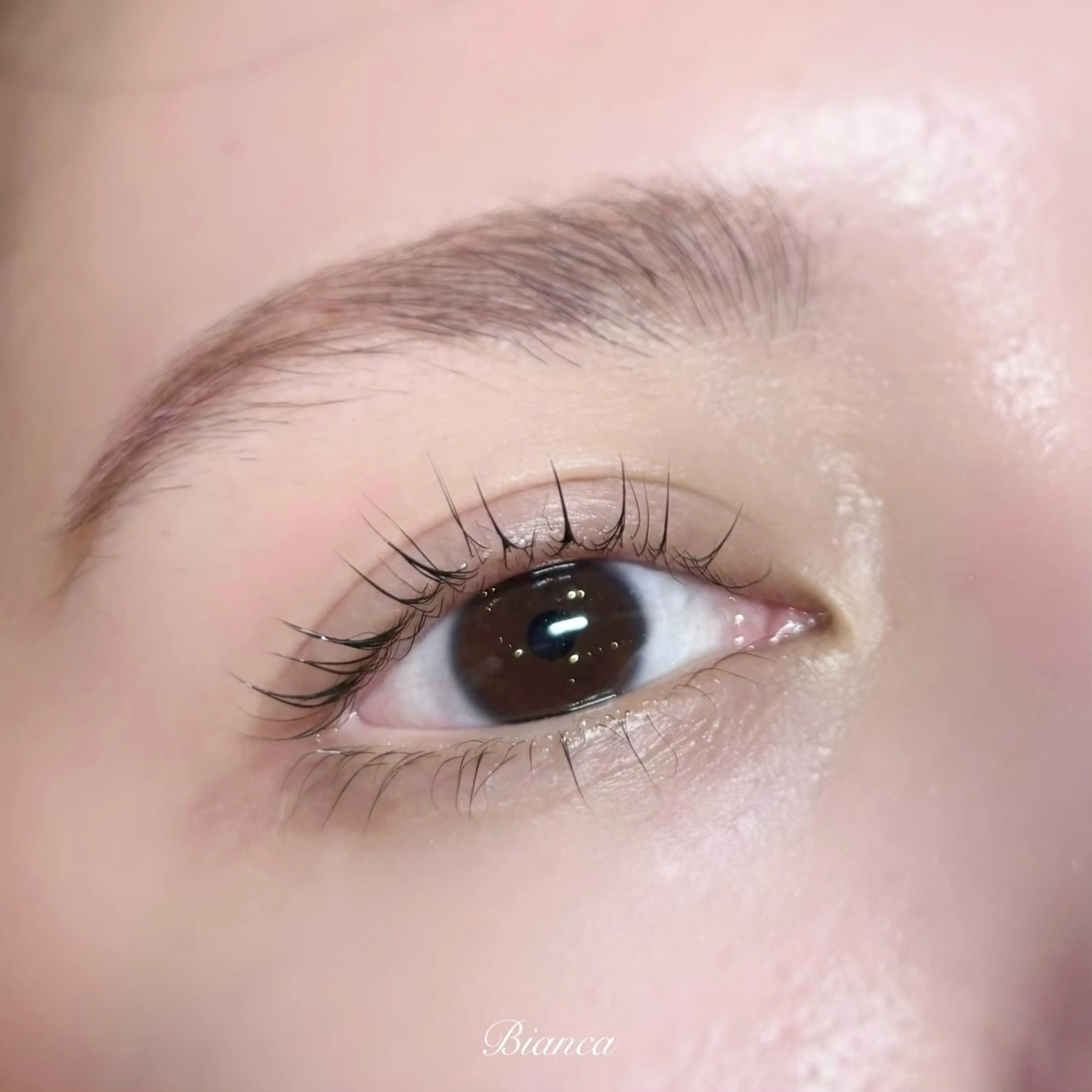 マツエク・マツパ まつげパーマ BIANCA ໒꒱ chihiroのマツエク・マツパデザイン