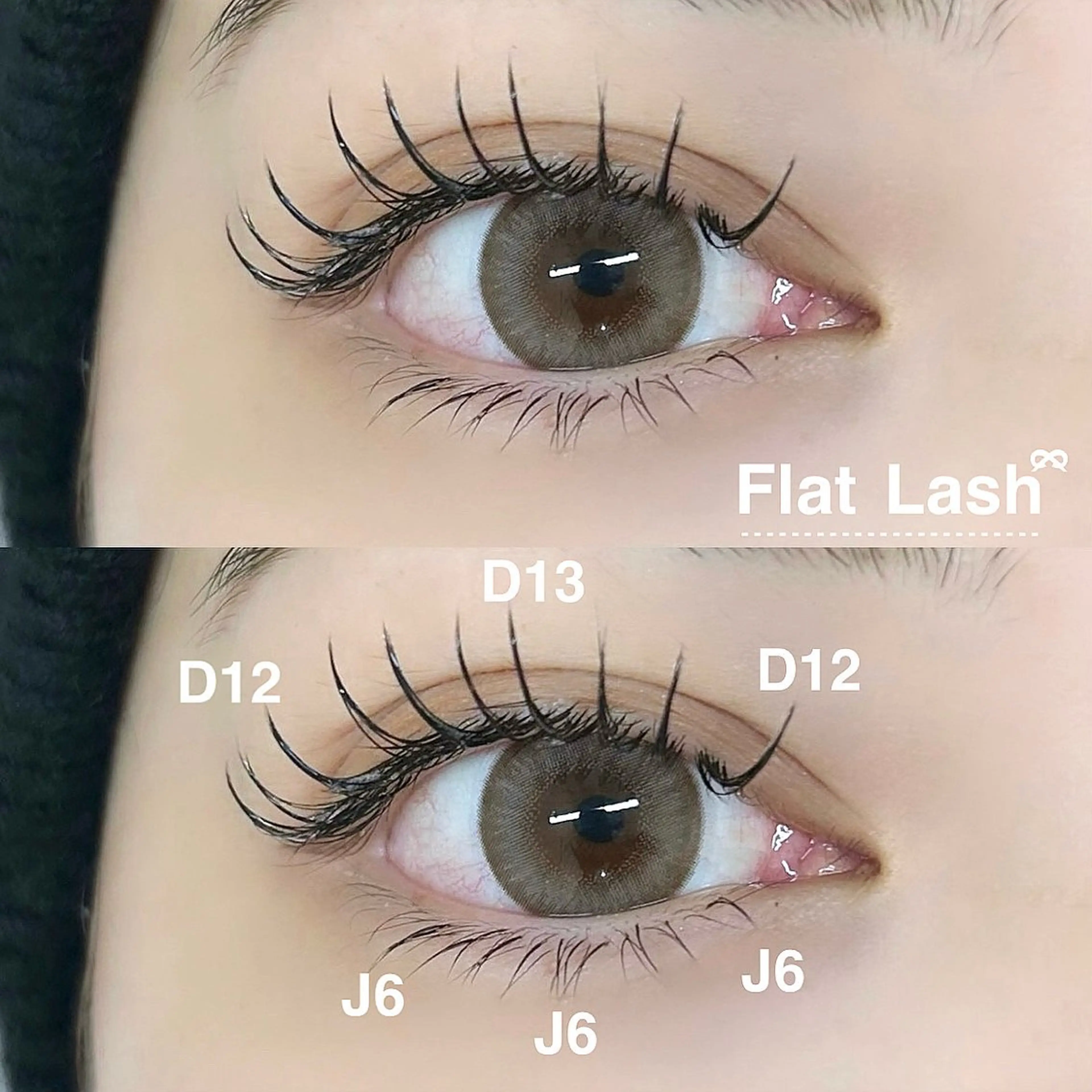 🧁フラットラッシュ 120本+下エク30本+コーティング束感仕上げ🧁の写真