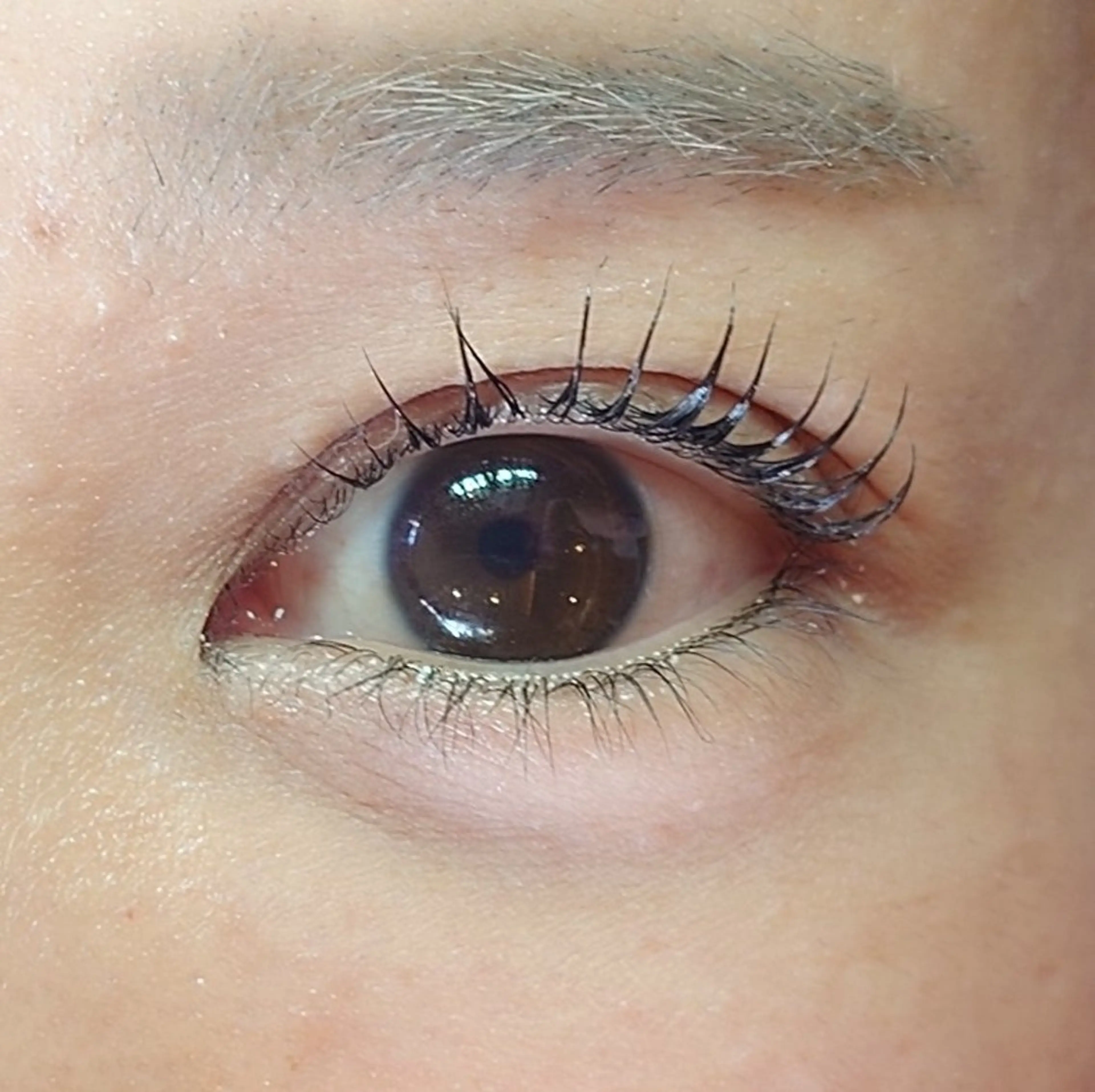 マツエク・マツパ Dカール 一重×まつ毛パーマ ara (荒武梨香)  のその他イメージ