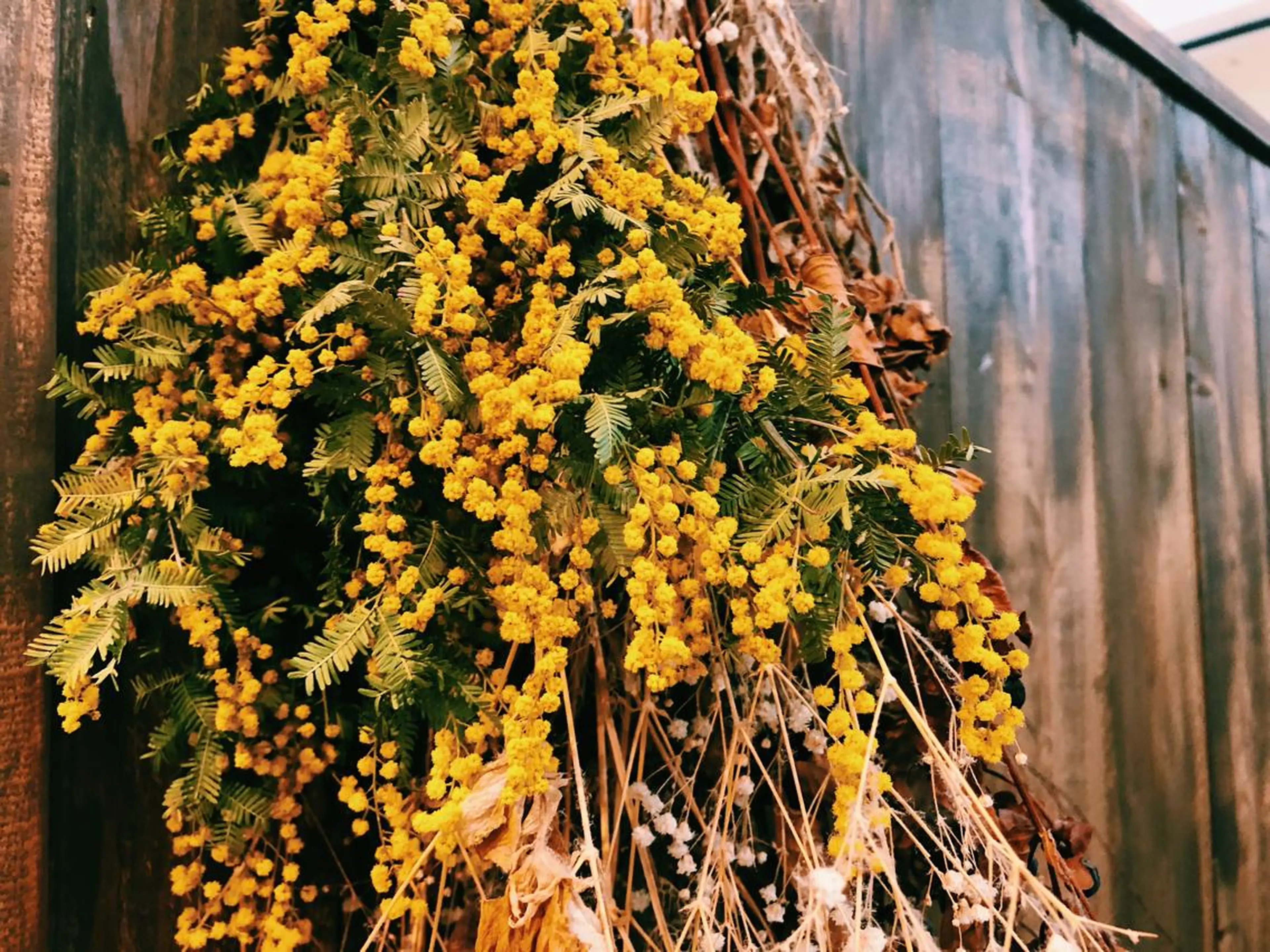 マツエク・マツパ 青木 百花のマツエク・マツパデザイン