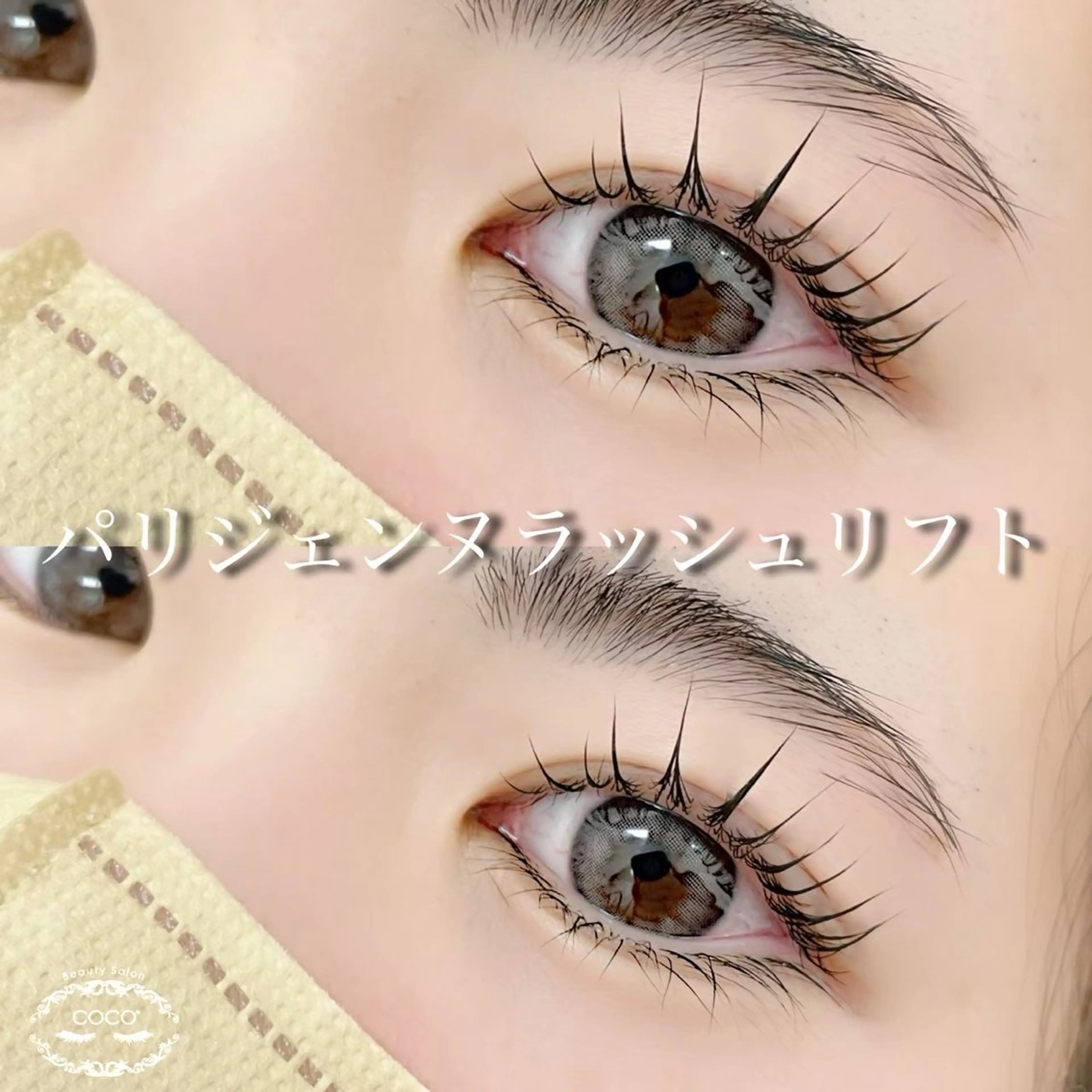 5/28.29パリジェンヌラッシュリフト技術チェックモデル募集👀🎀の写真