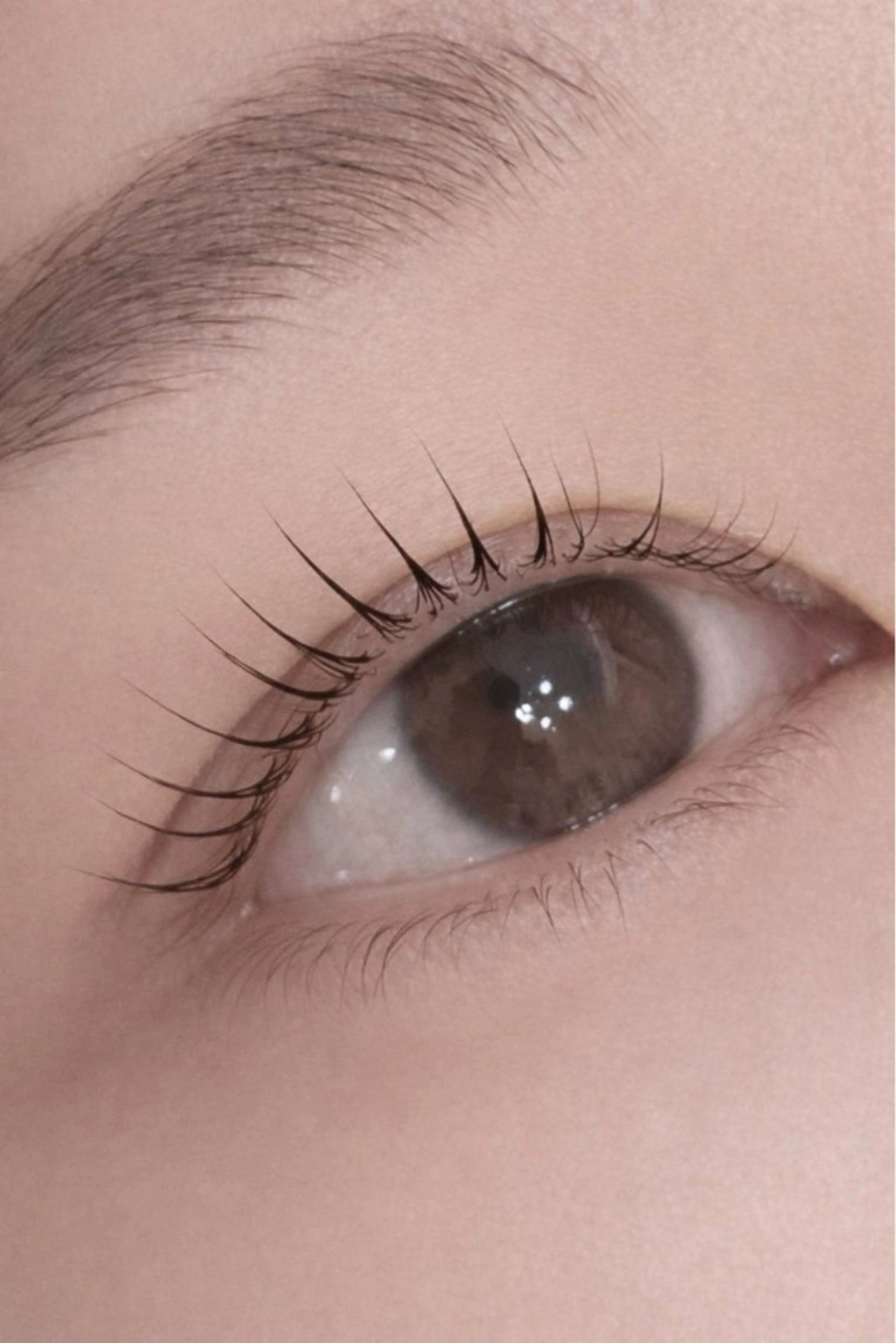 【まつ毛パーマ】お客様感謝料金❤️の写真