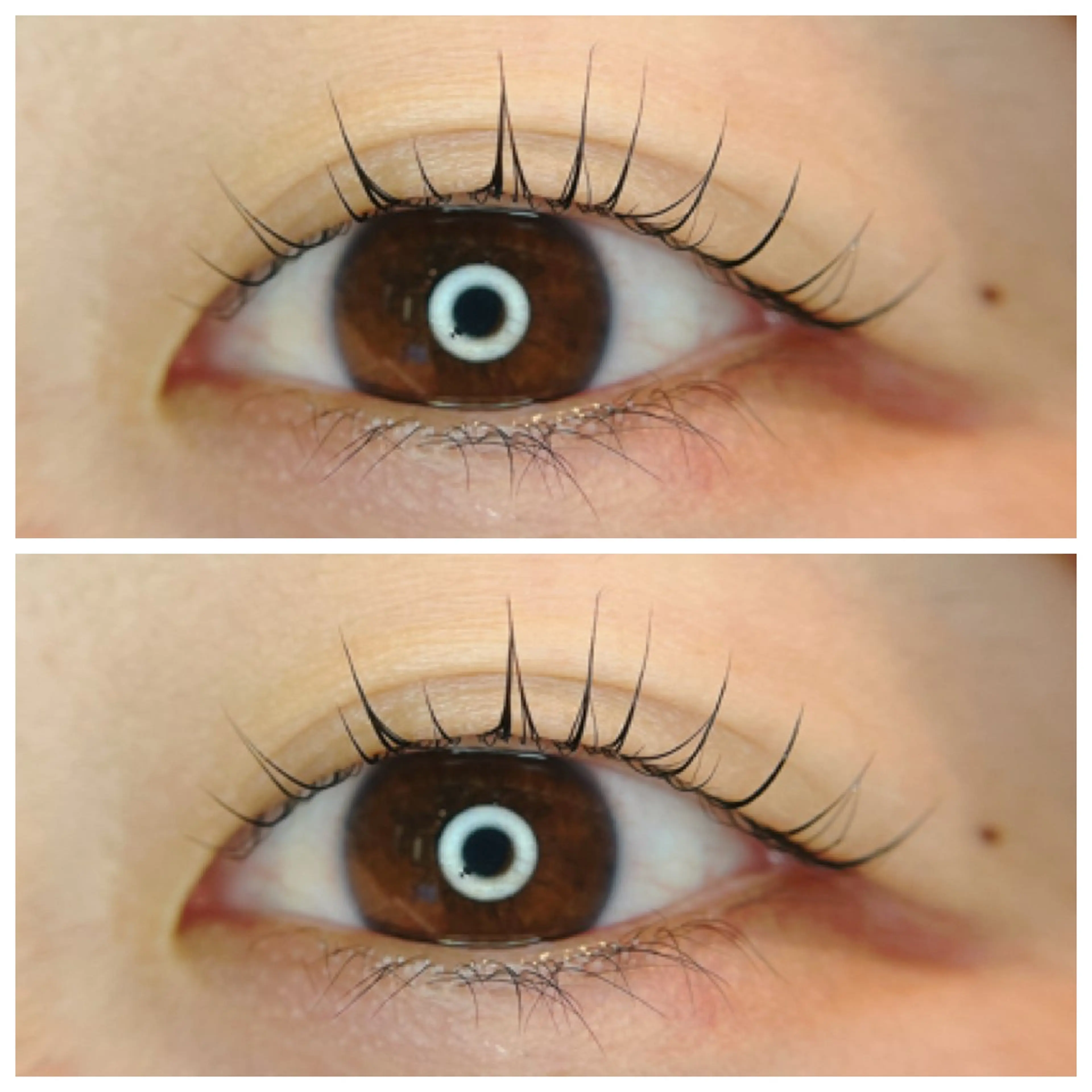 マツエク・マツパ 一重×まつ毛パーマ 【hisui】長尾 ゆかりのマツエク・マツパデザイン