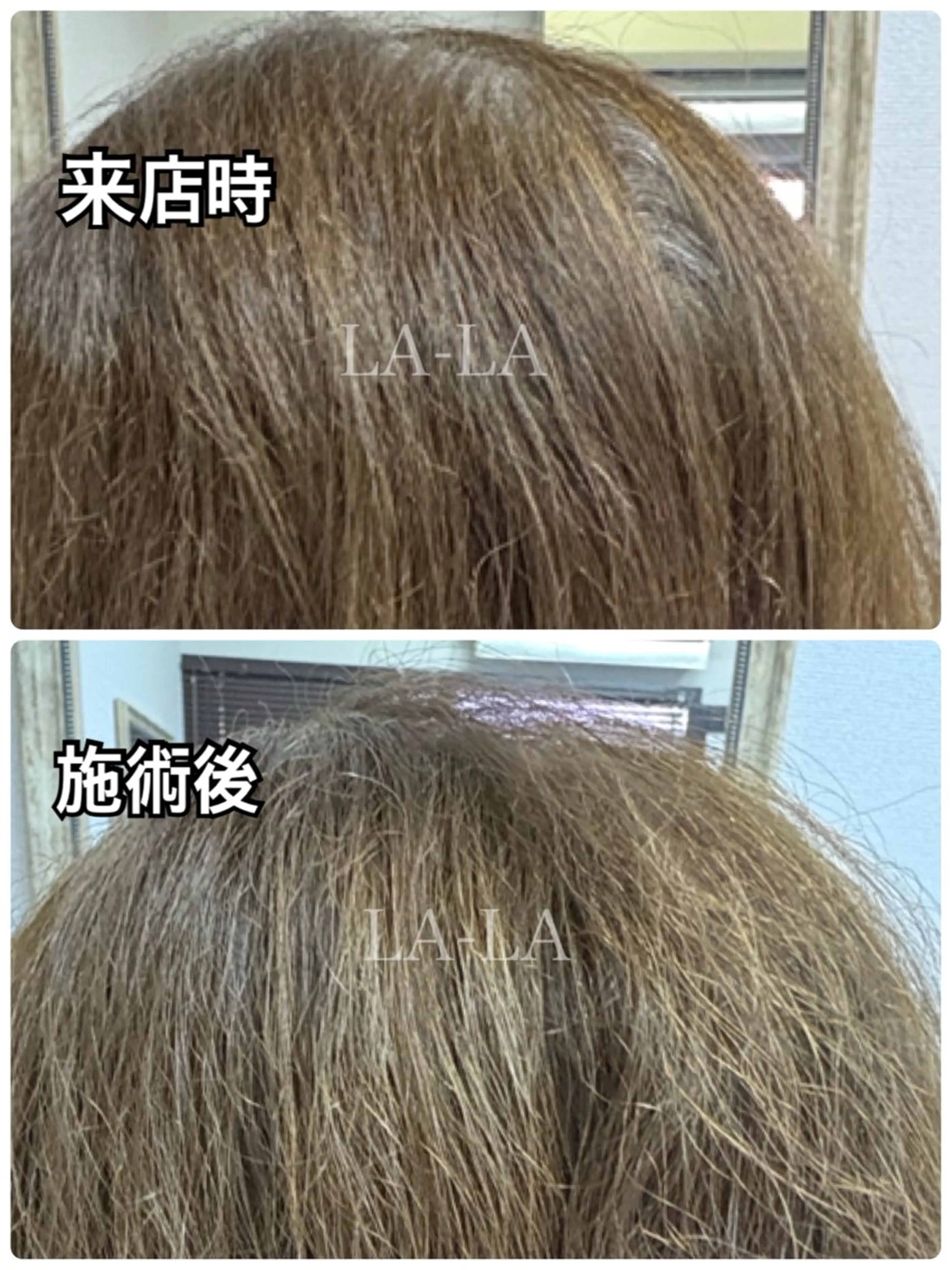 カラー ヘアカラー専門店 LA-LA笠寺店のヘアスタイル