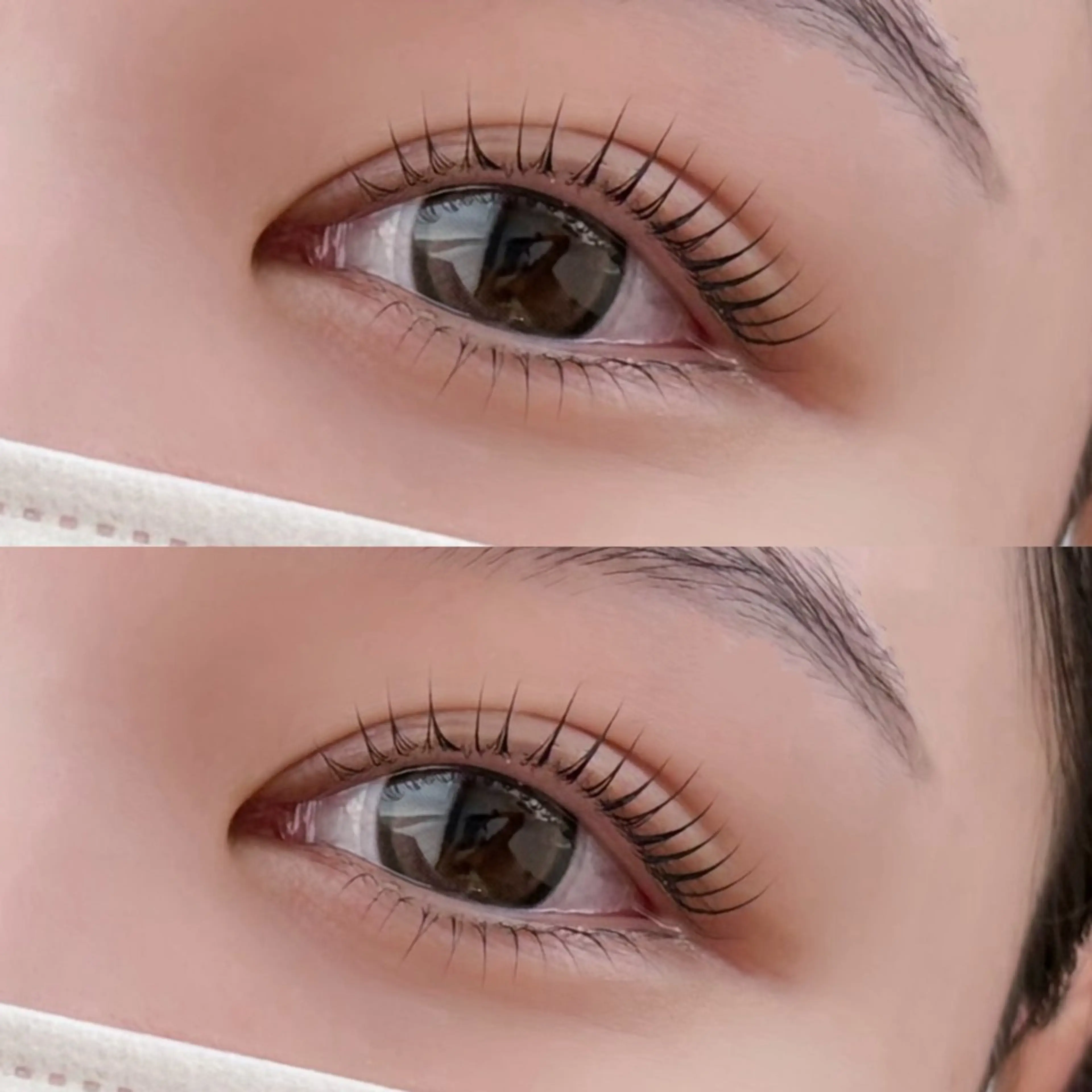 まつげパーマ上下セット 4/15 10:00/15:15/16:00の写真