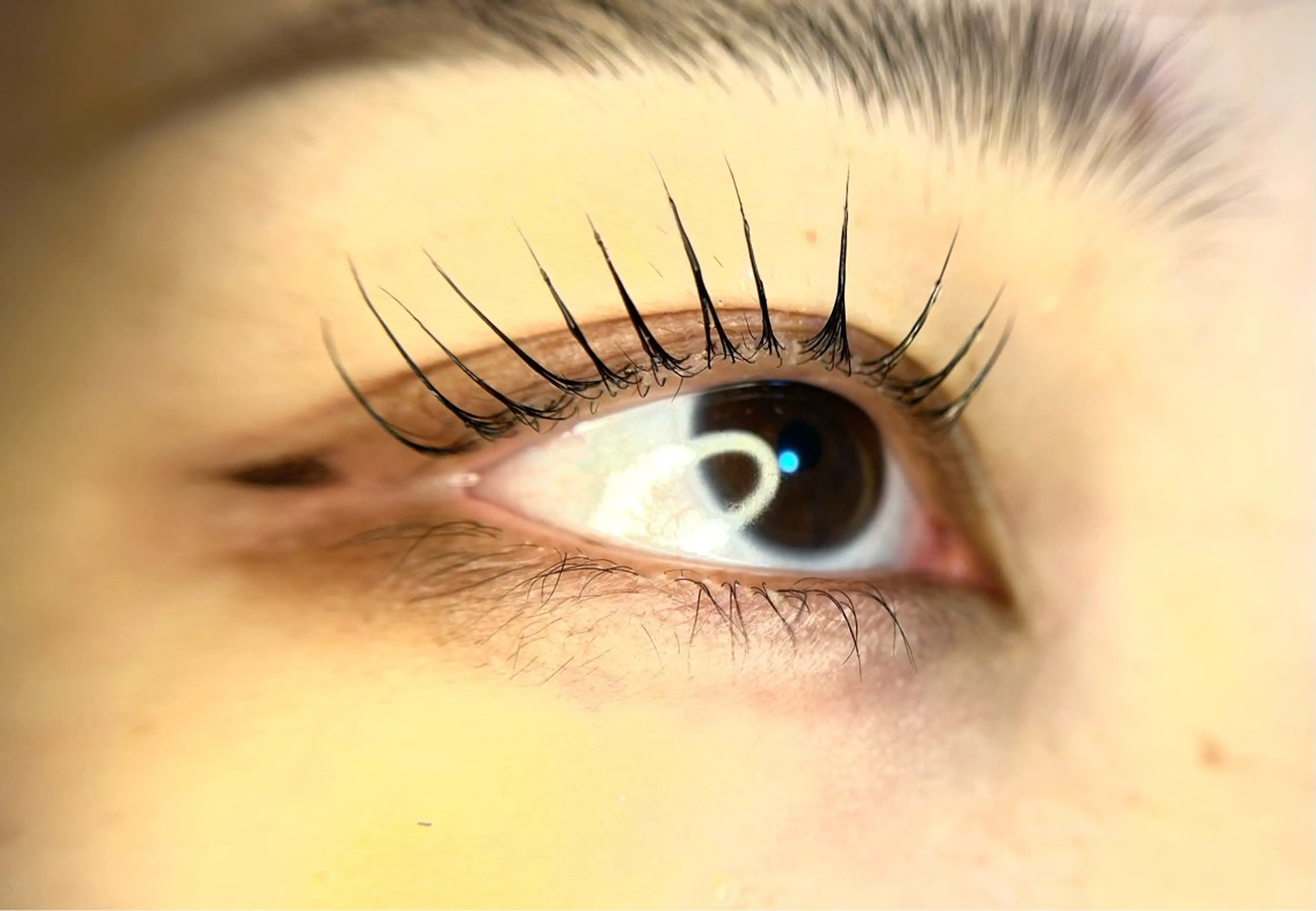 マツエク・マツパ パリジェンヌラッシュリフト Lash Lift ＷAＶＥ所属・Lash Lift WAVE🩵の眉毛・アイブロウイメージ