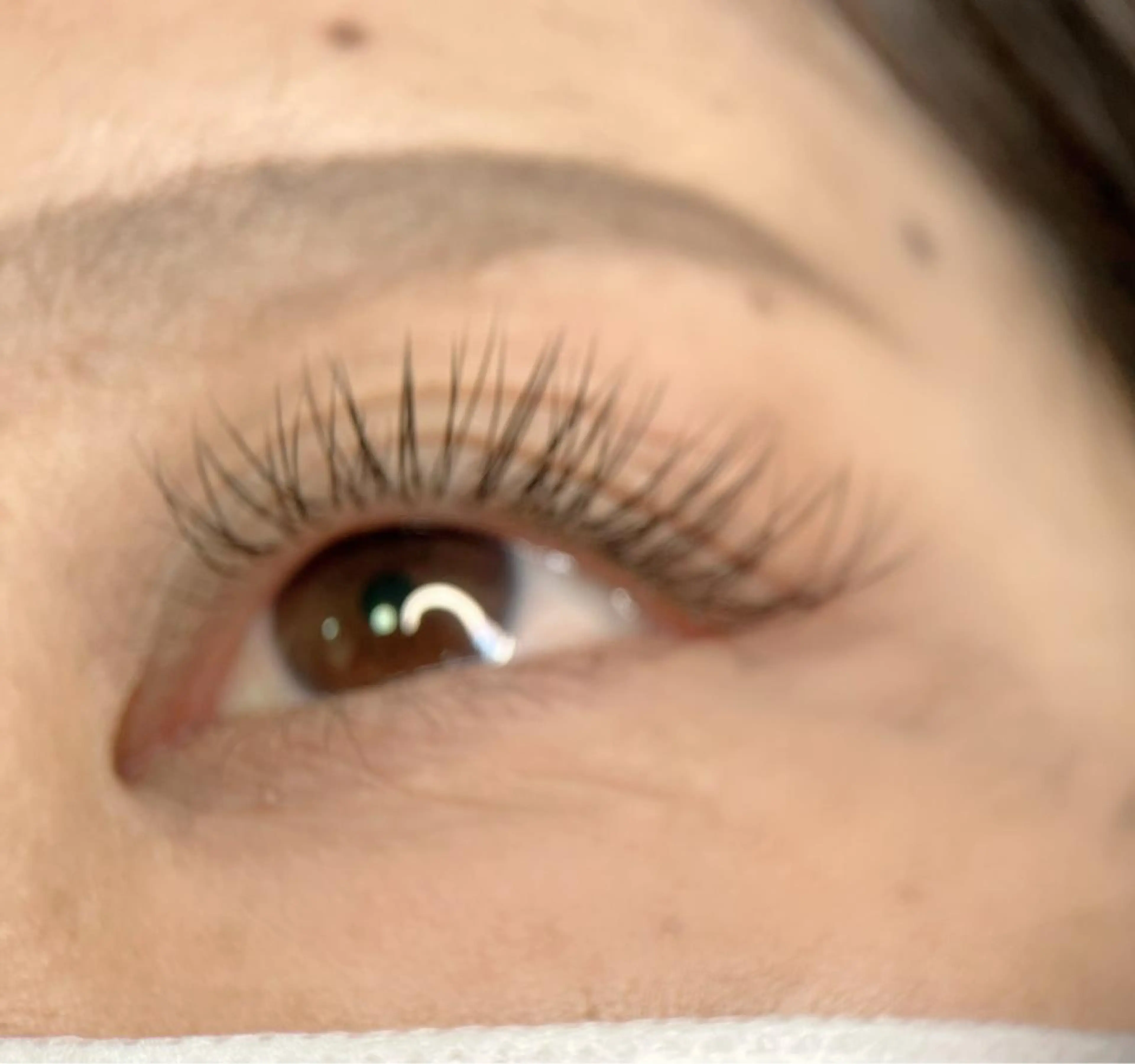 マツエク・マツパ Cカール フラットラッシュ Duo＋ eyelashのマツエク・マツパデザイン