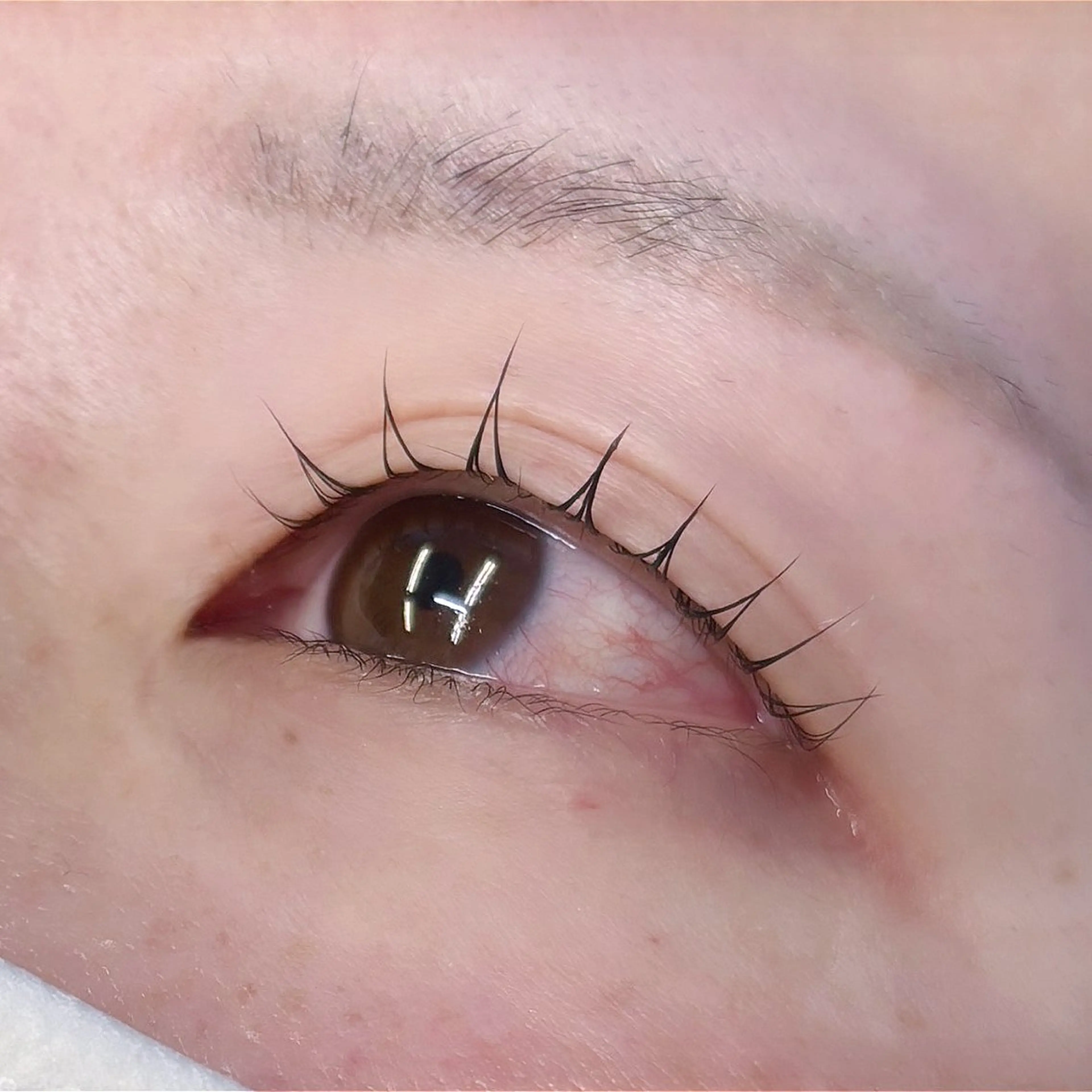 パリジェンヌラッシュリフトの写真