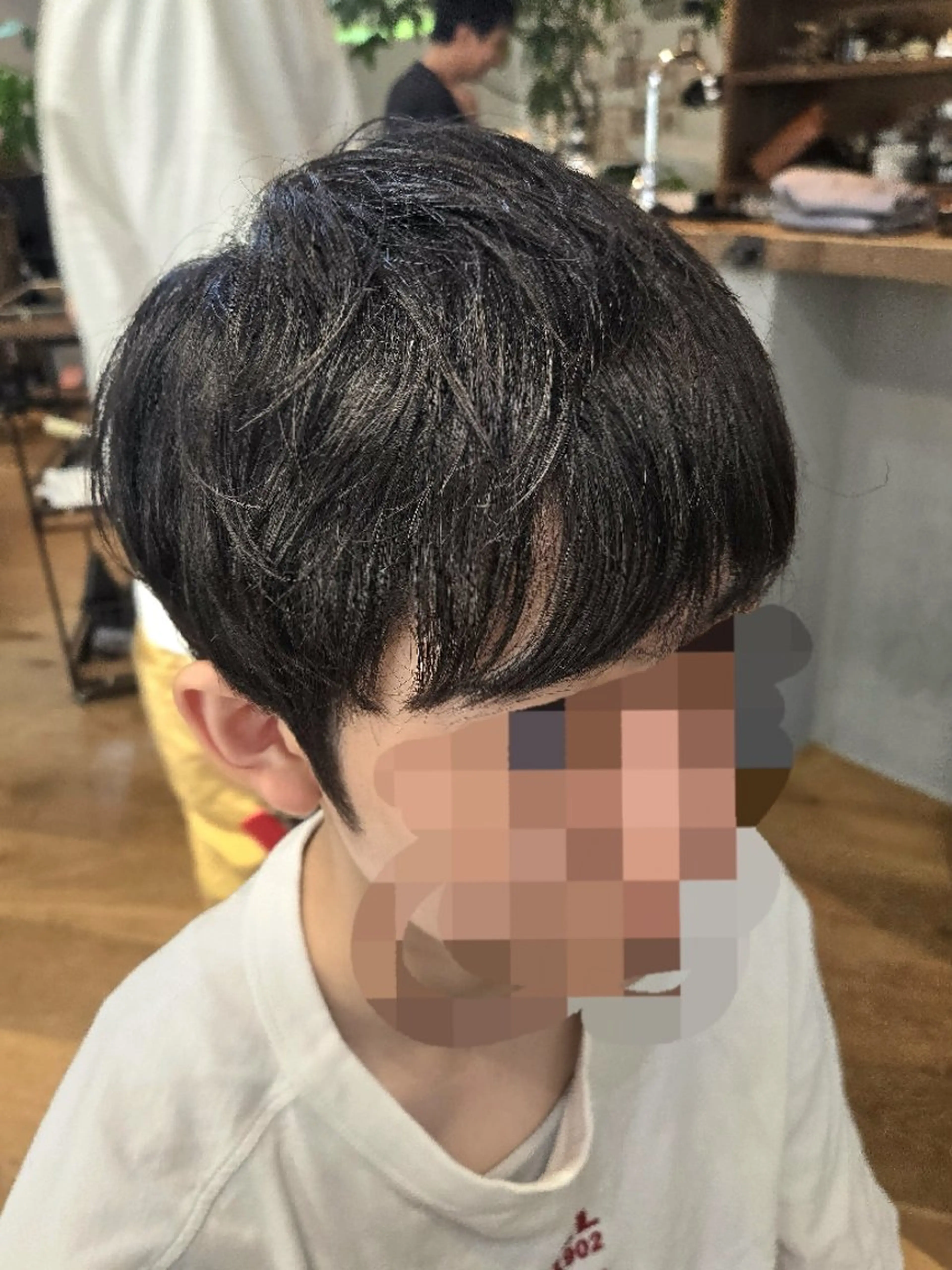 メンズ マッシュ 刈り上げ 銀座knoll🌿 【平日朝限定cut】のヘアスタイル